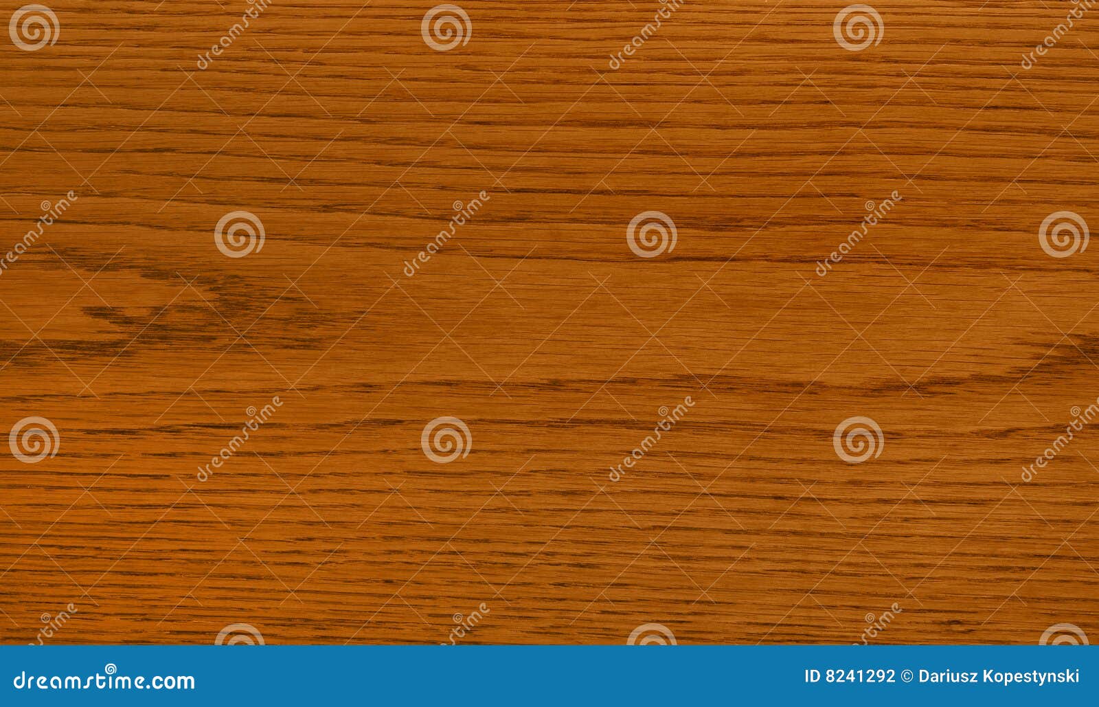 Oak wood stock photo. Image of nature, hardwood, furniture - 8241292