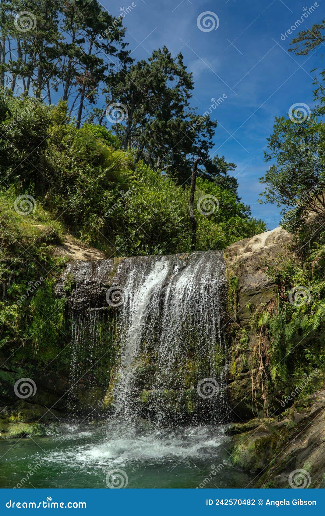 oakley creek waterfall, auckland new zealand