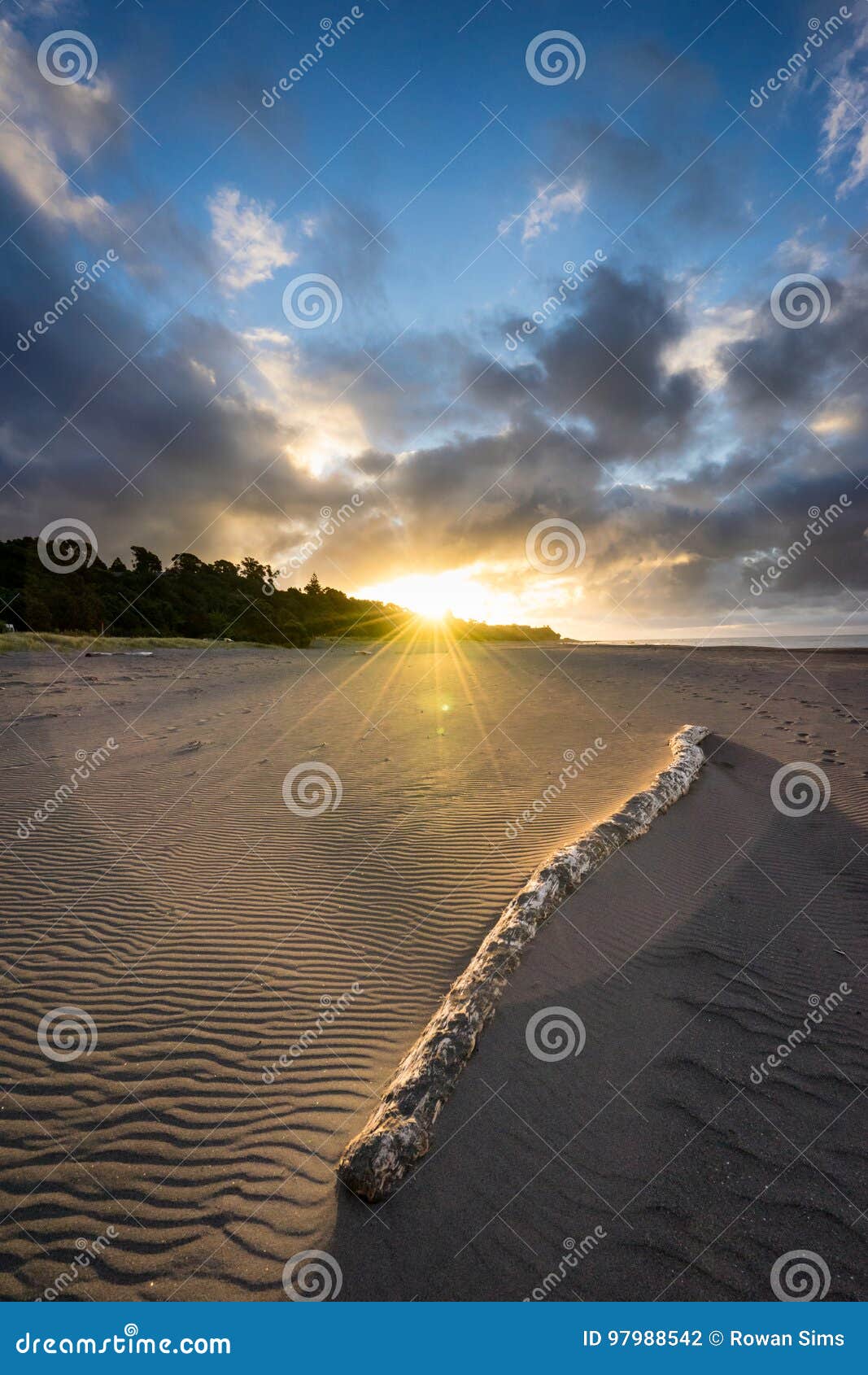 Oakura Beach Stock Photo Image Of Travel Nature Beach 97988542