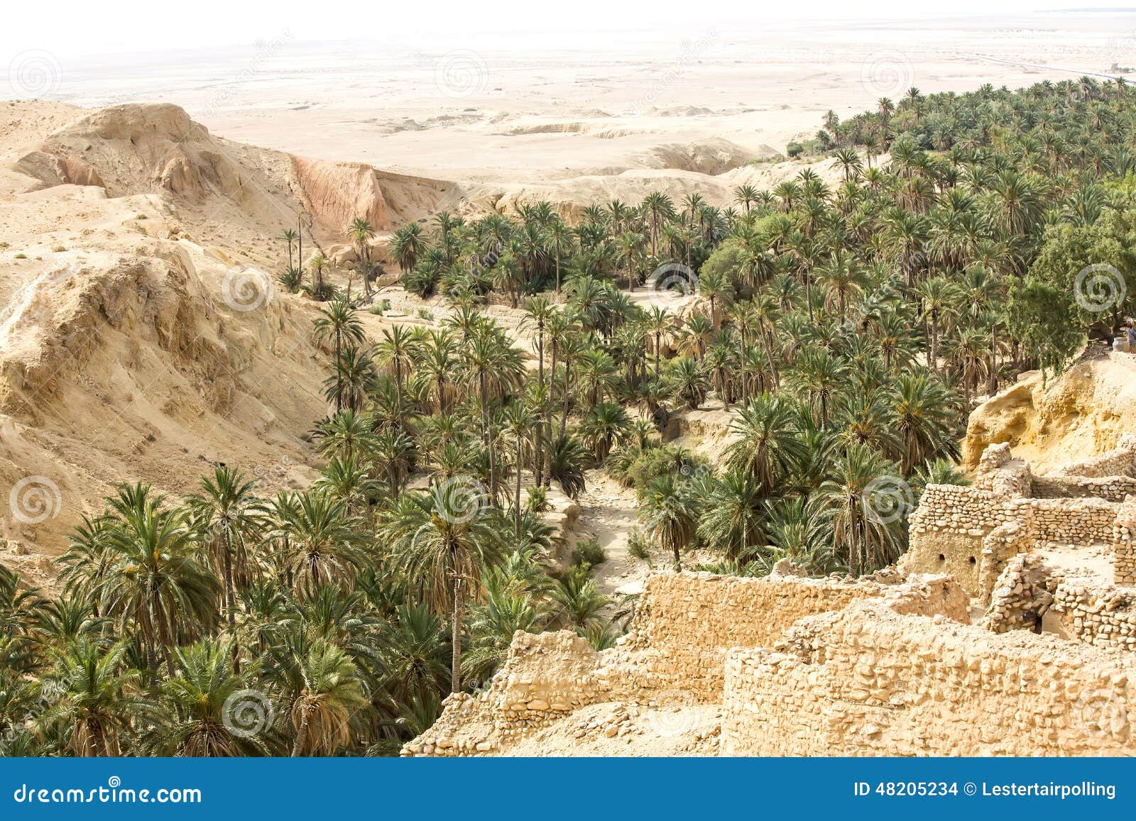 An Oasis in the Atlas Mountains Stock Photo Image of trees, climate