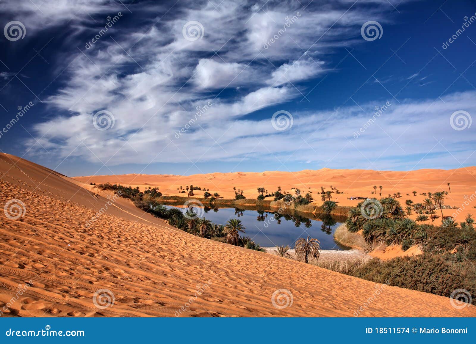 Desert Oasis Royalty-Free Images, Stock Photos & Pictures