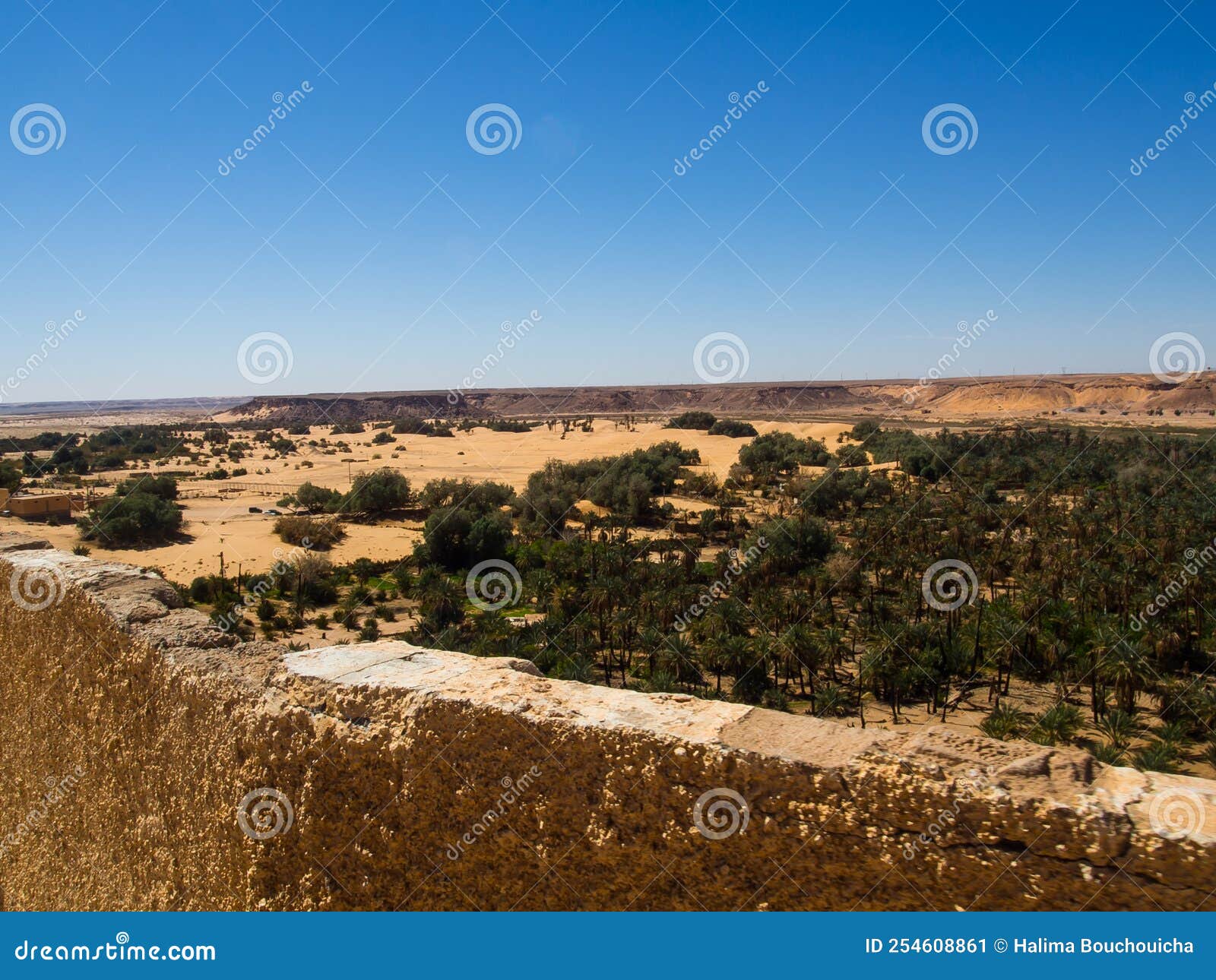 an oasis in the desert of taghit, algeria