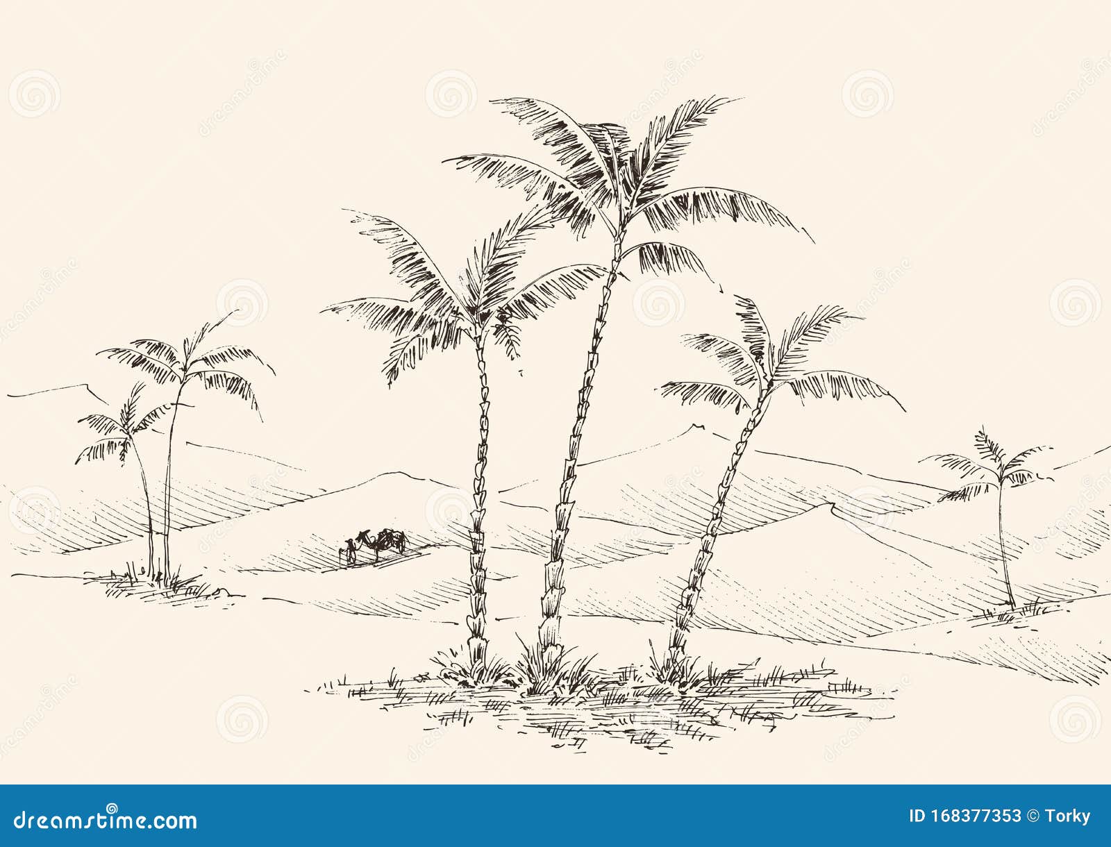 Oasis En El Dibujo a Mano Del Desierto Ilustración del Vector - Ilustración  de turismo, fuente: 168377353