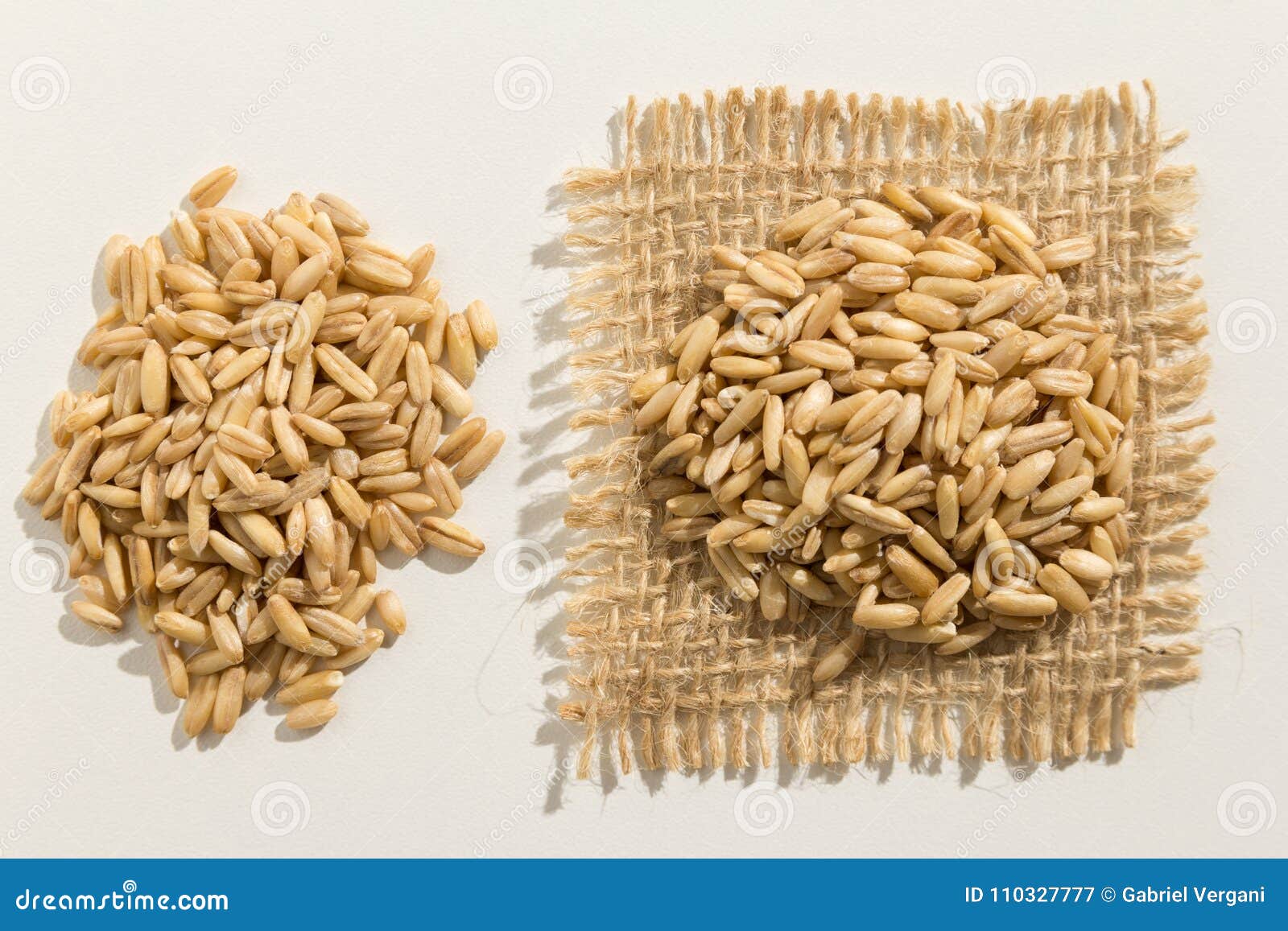 oat cereal grain. close up of grains spreaded over white table.