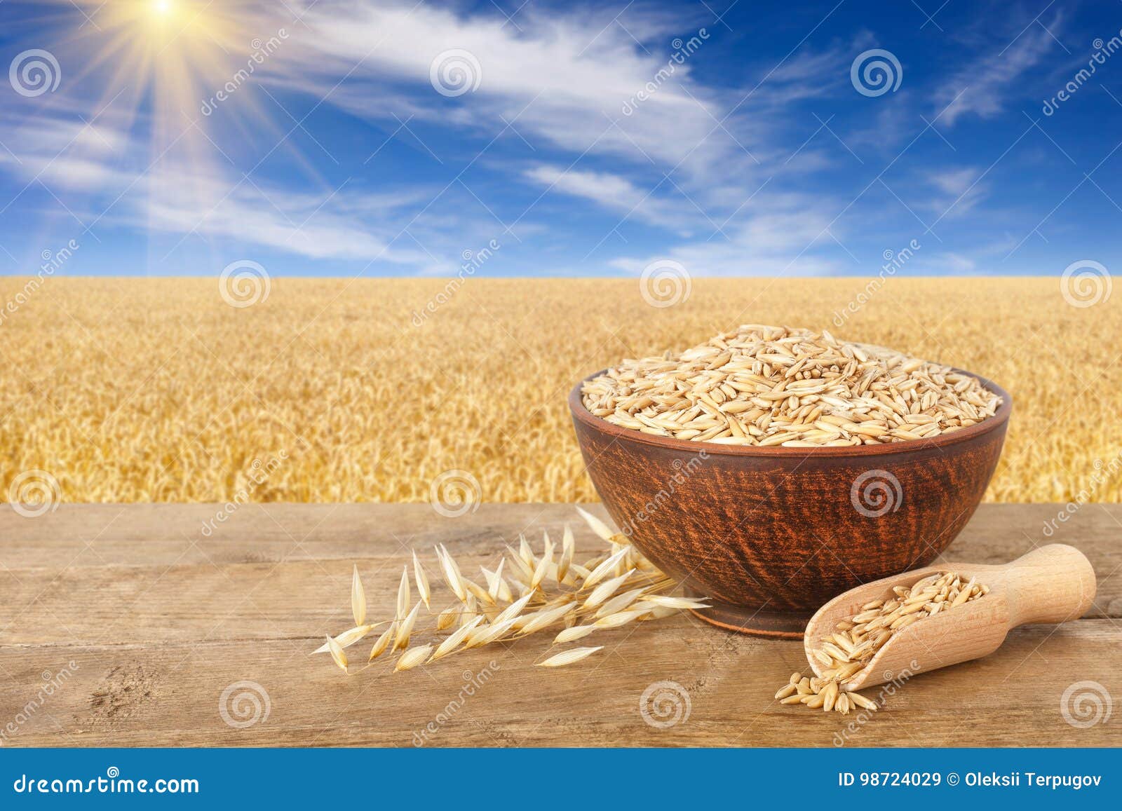 Oat grains in bowl stock image. Image of corn, grain - 98724029