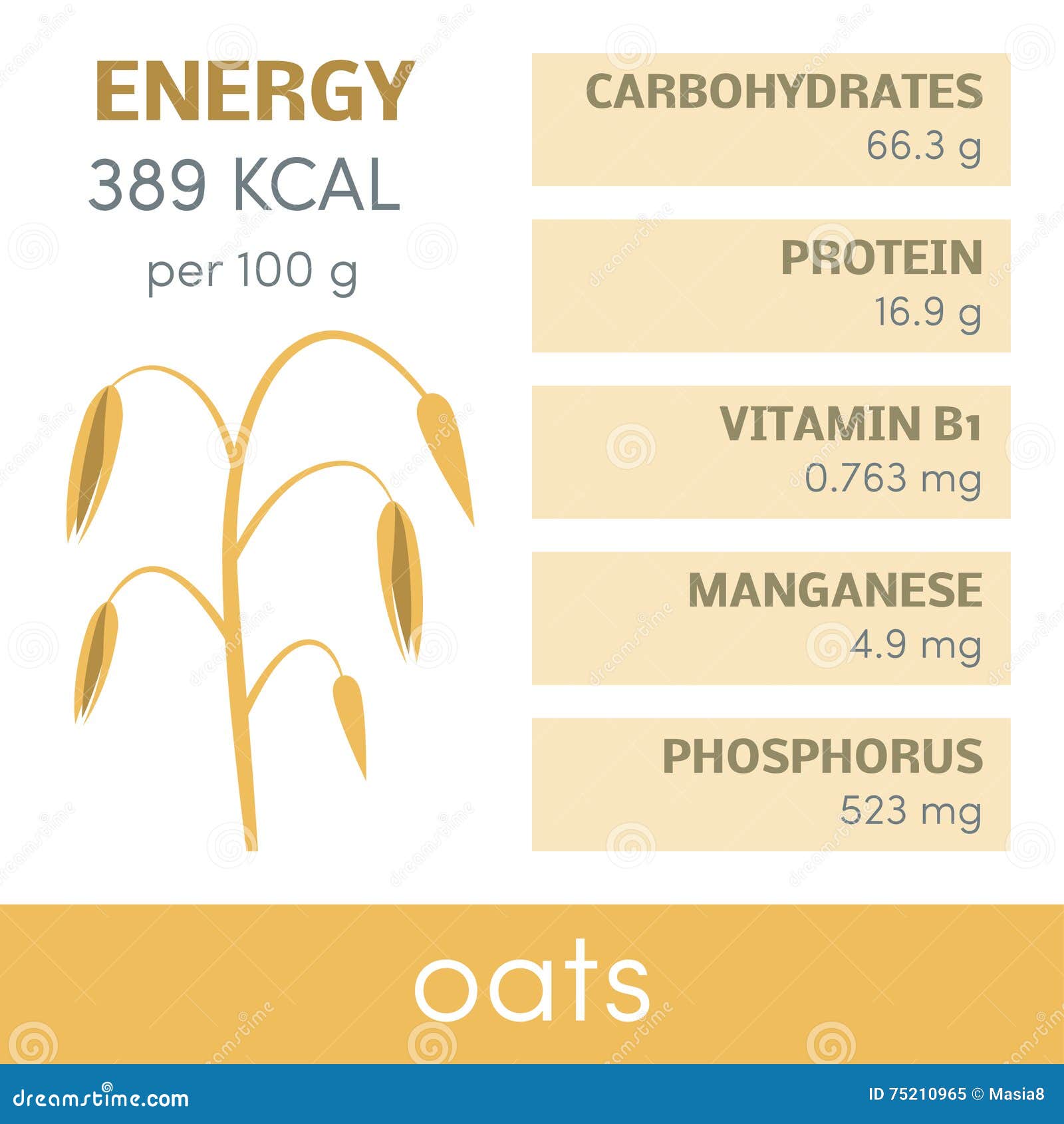 Oats infographic stock illustration. Illustration of ingredient 75210965