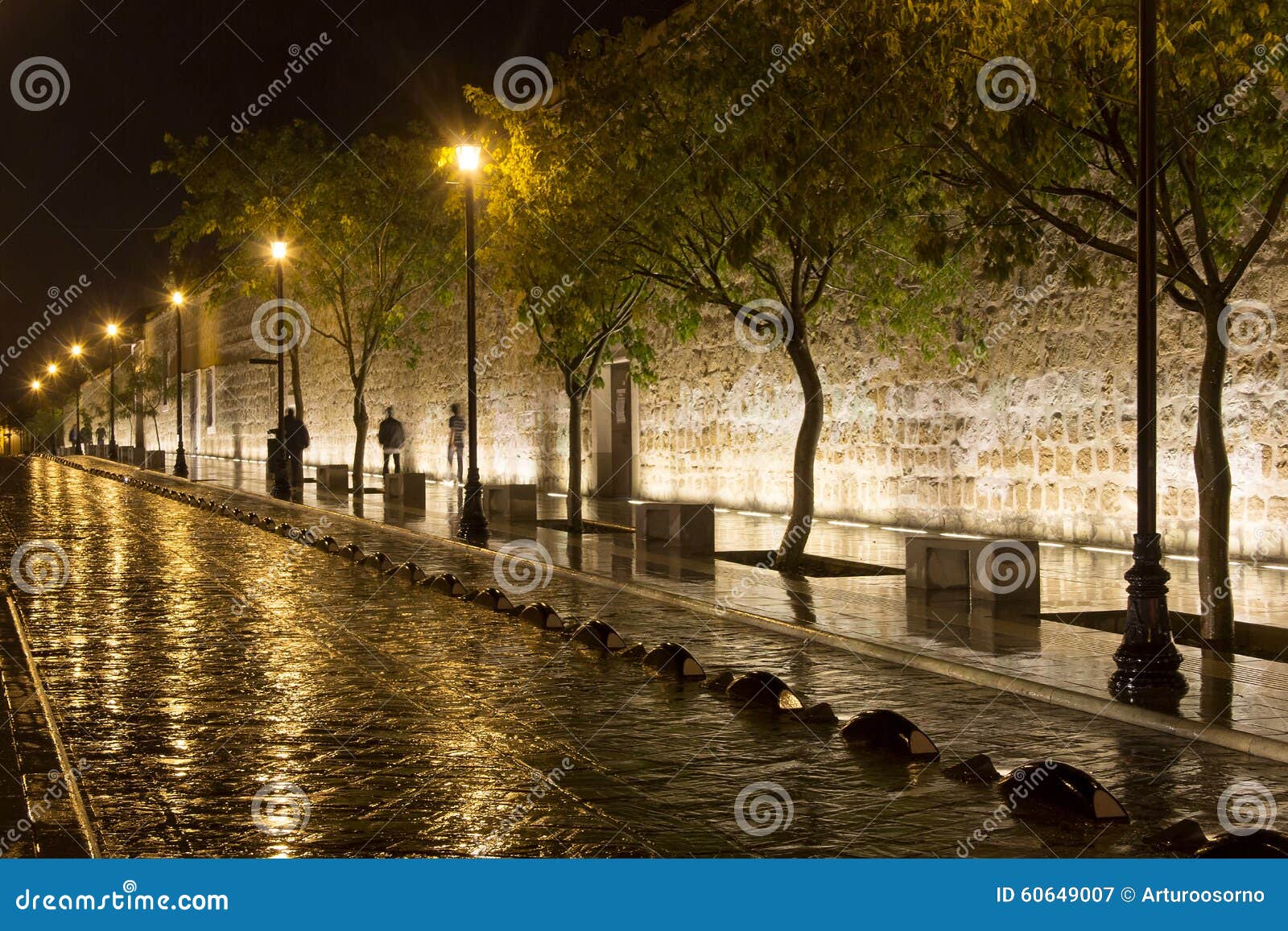 a street in oaxaca city at night