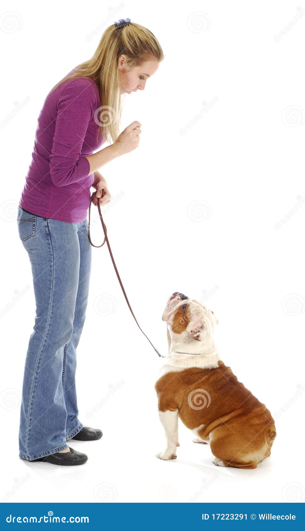 obedience training