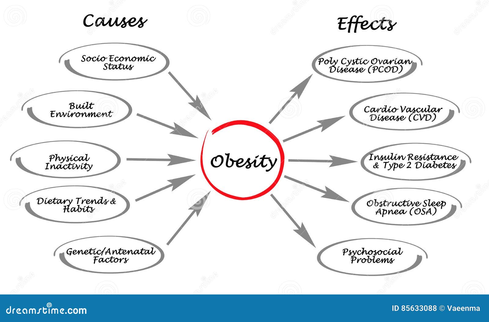 obesity cause and effect essay