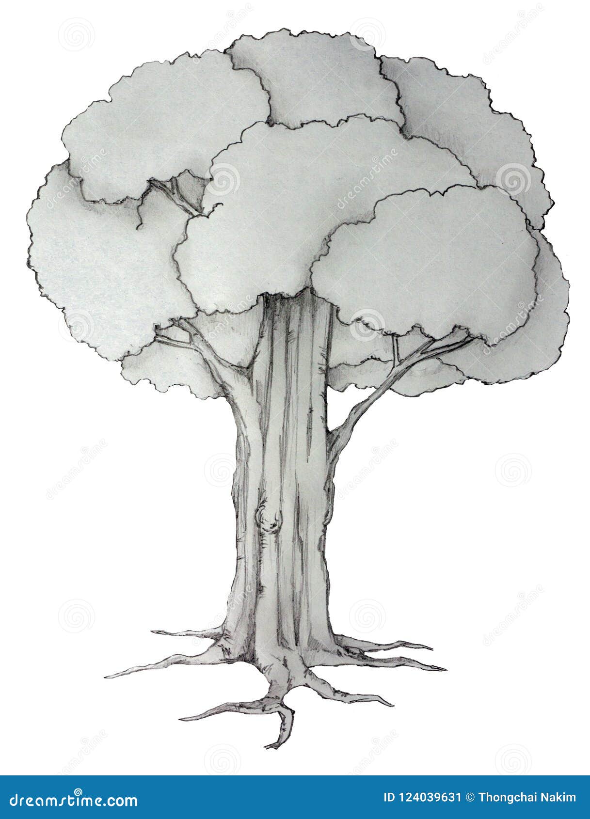 Big tree graphic art black white landscape sketch vertical illustration  vector Stock Vector Image  Art  Alamy