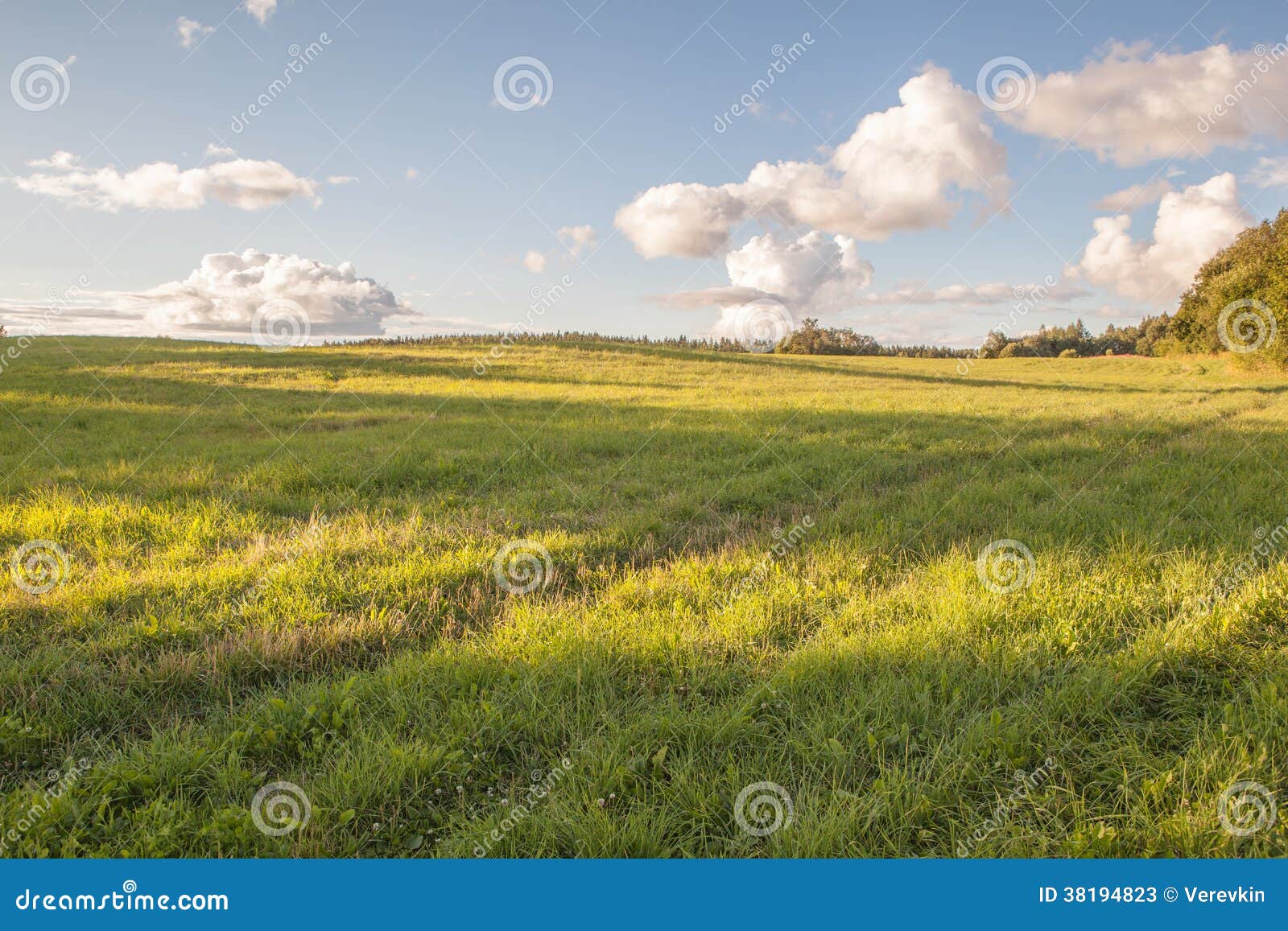 Oblique field. stock image. Image of forest, landscape 38194823