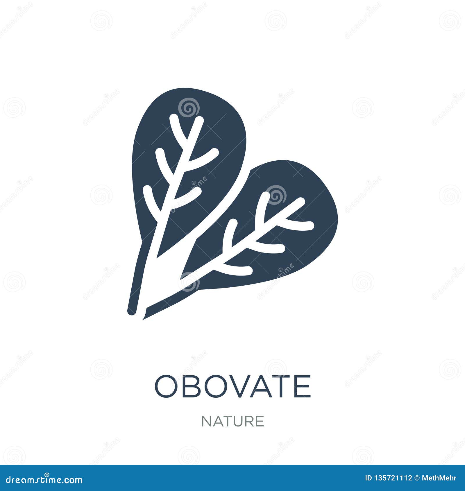 obovate icon in trendy  style. obovate icon  on white background. obovate  icon simple and modern flat 
