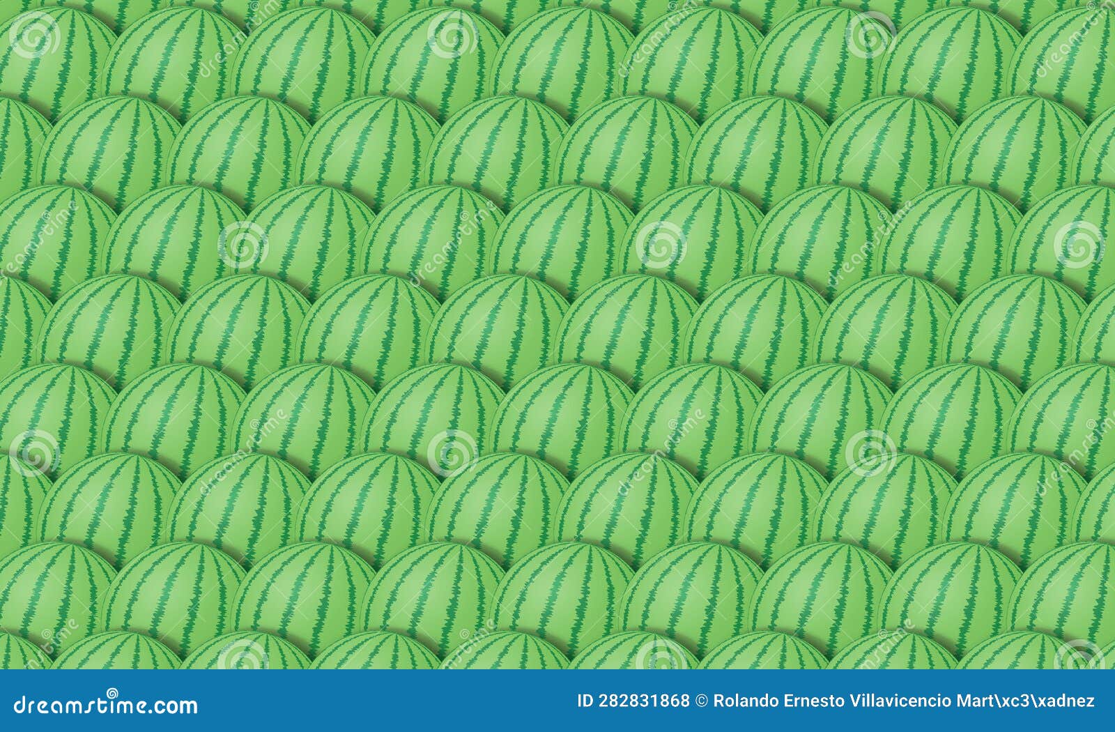 pattern  of whole watermelons. green fruits background.