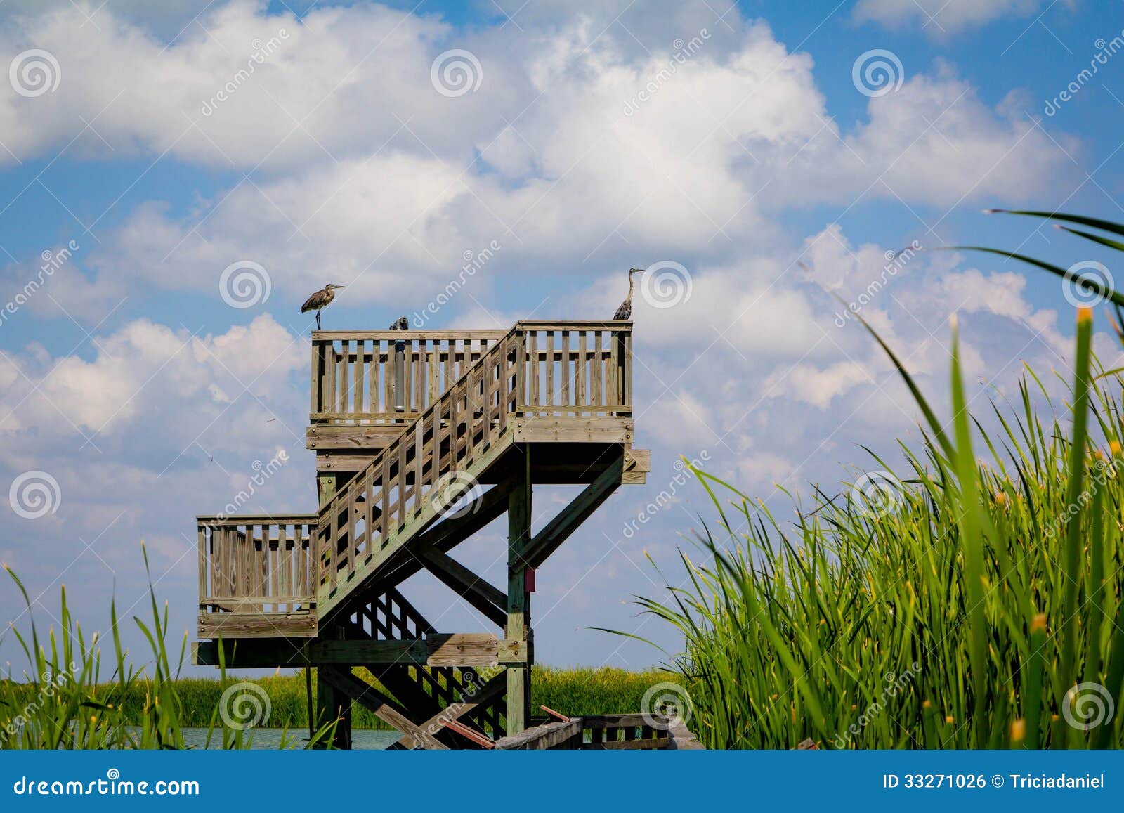 observation birding tower