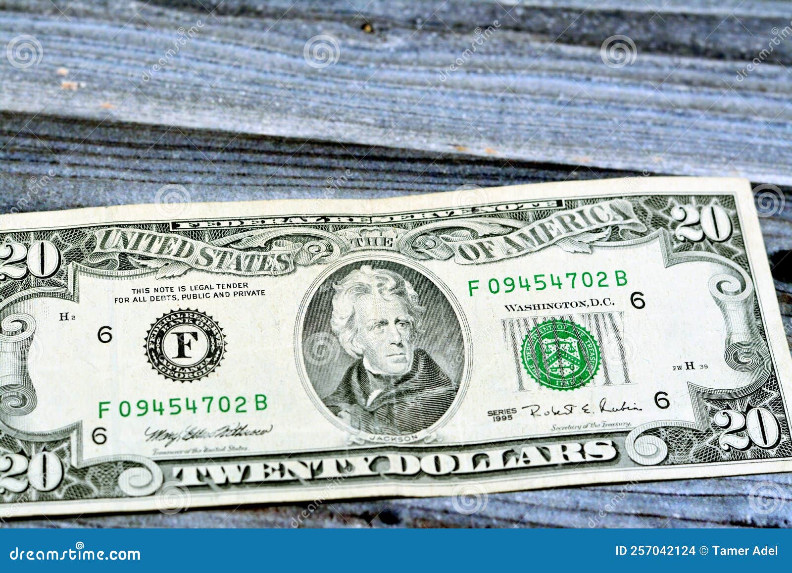 old twenty dollar bill actual size