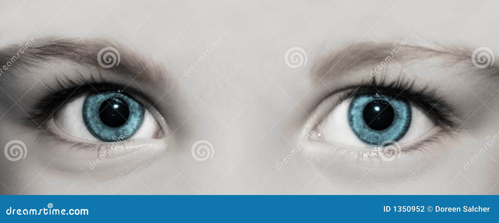 46 407 Occhi Di Un Bambino Foto Foto Stock Gratis E Royalty Free Da Dreamstime