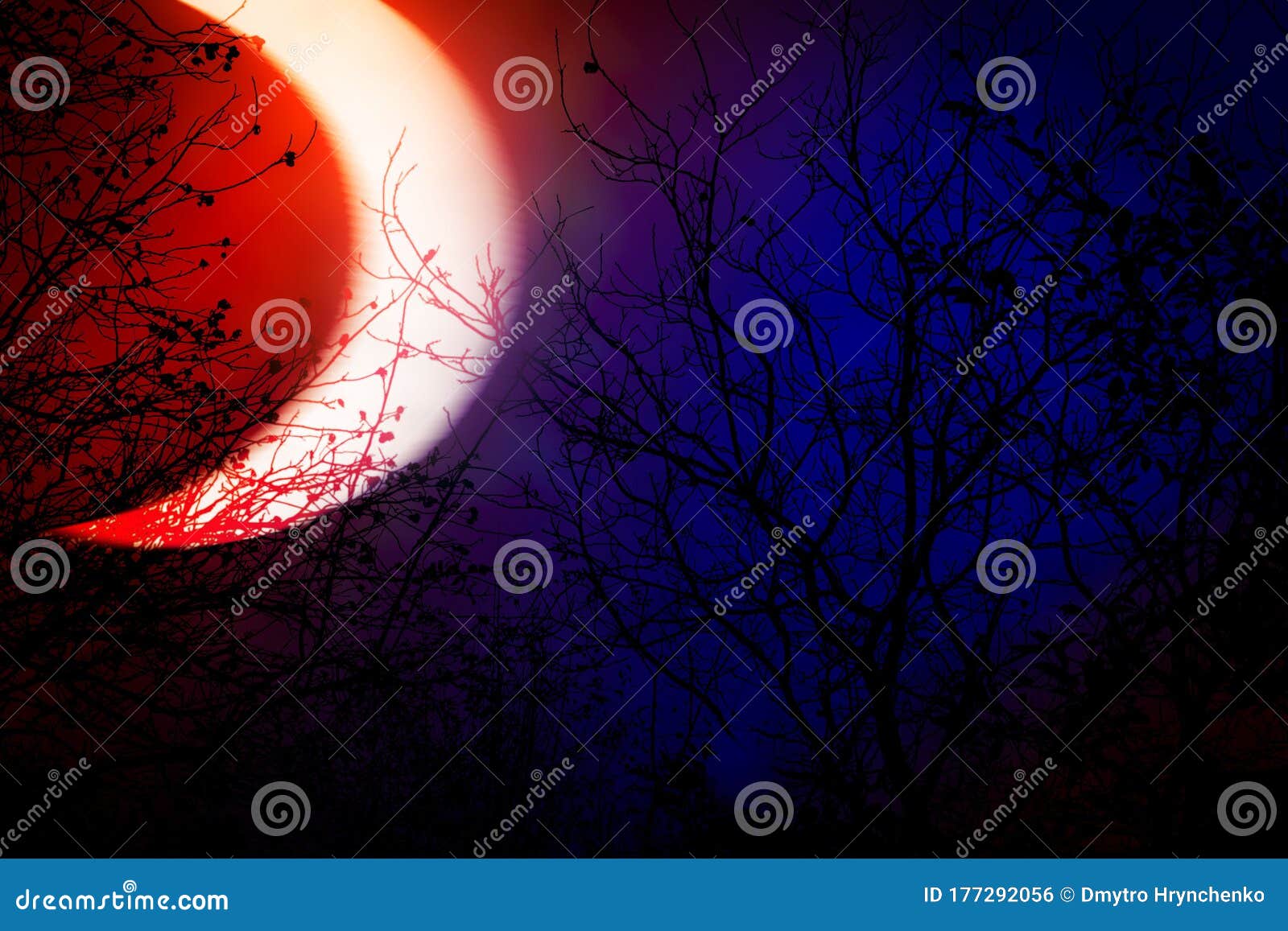 occulture landscape silhouettes. tree branches on deep red and blue sky background at night dusk time. big horned moon raises over