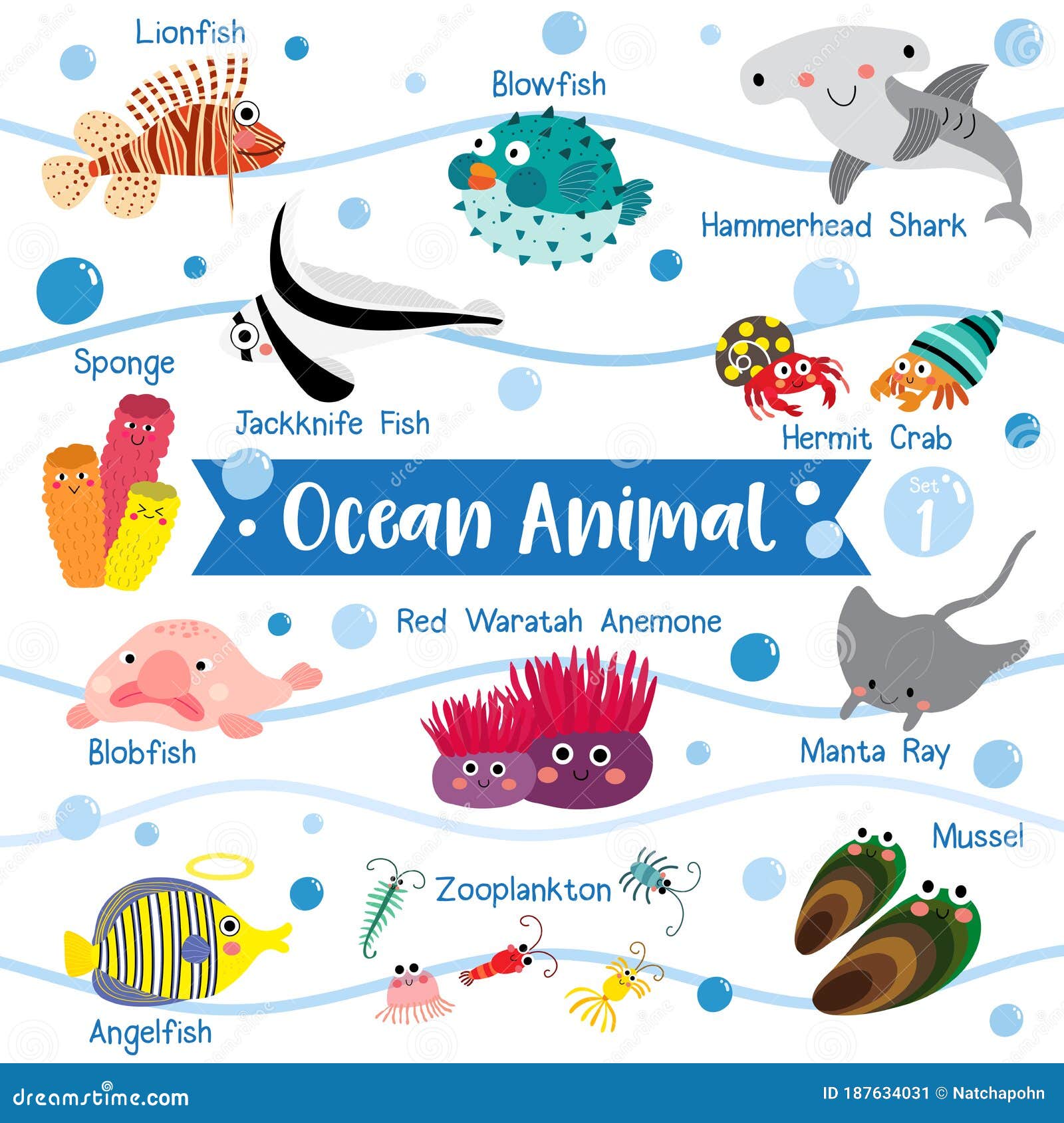 Ocean Animal Cartoon Set 1 on White Background with Animal Name. Vector Illustration Stock Vector - Illustration of sponge, clipart: 187634031 Ocean Animal Cartoon Set 1 on White Background with Animal Name. Vector Illustration Stock Vector - Illustration of sponge, clipart: 187634031