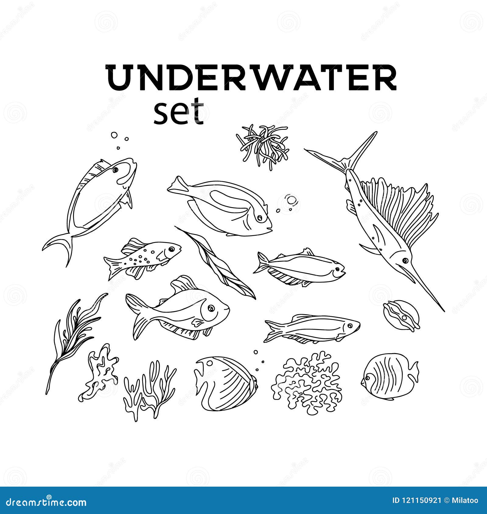 Marine topic hand drawn elements. Underwater life elements for your design. Sea  creatures isolated on white background. Stock Illustration | Adobe Stock