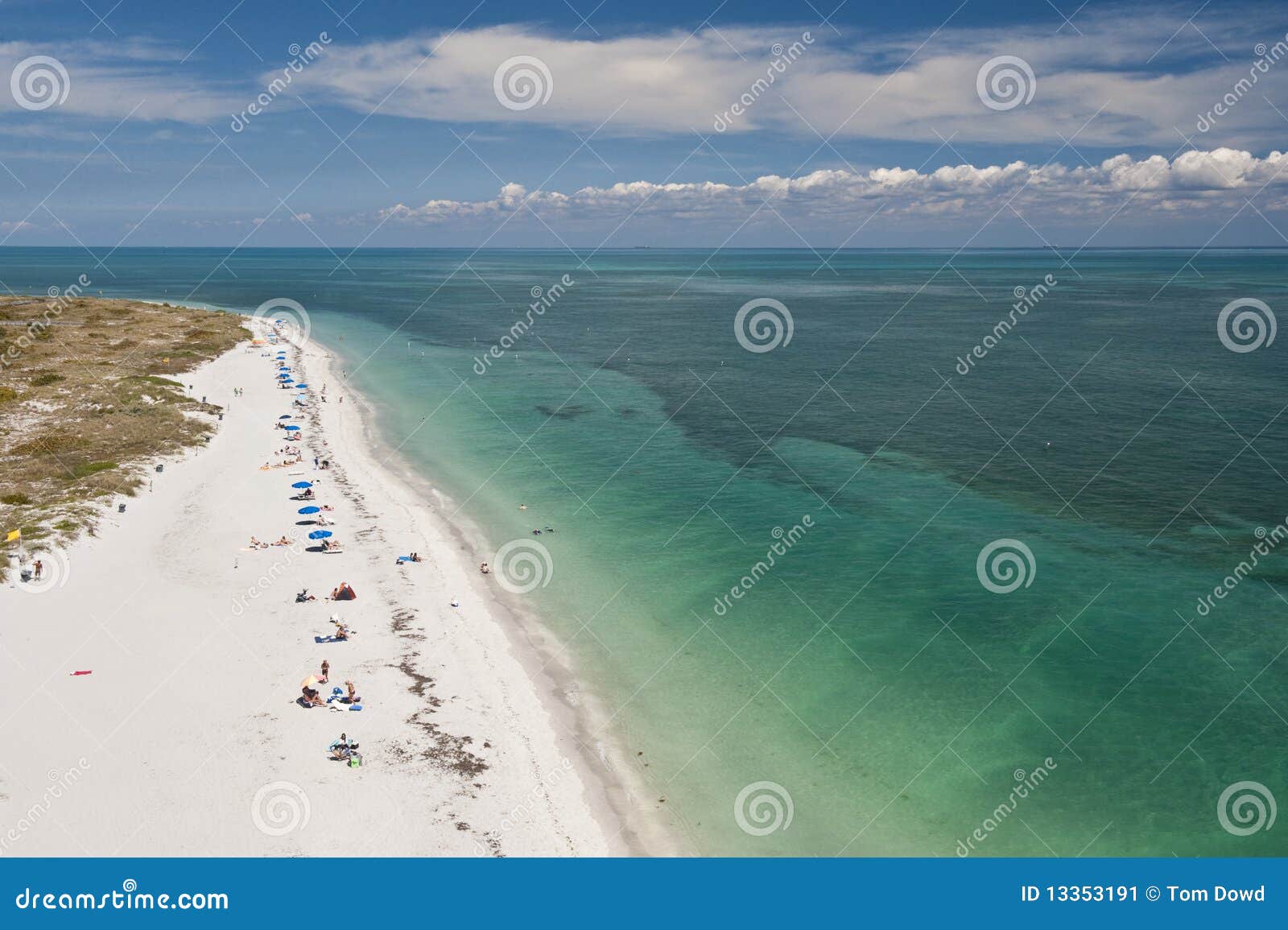 ocean beach and sunbathers