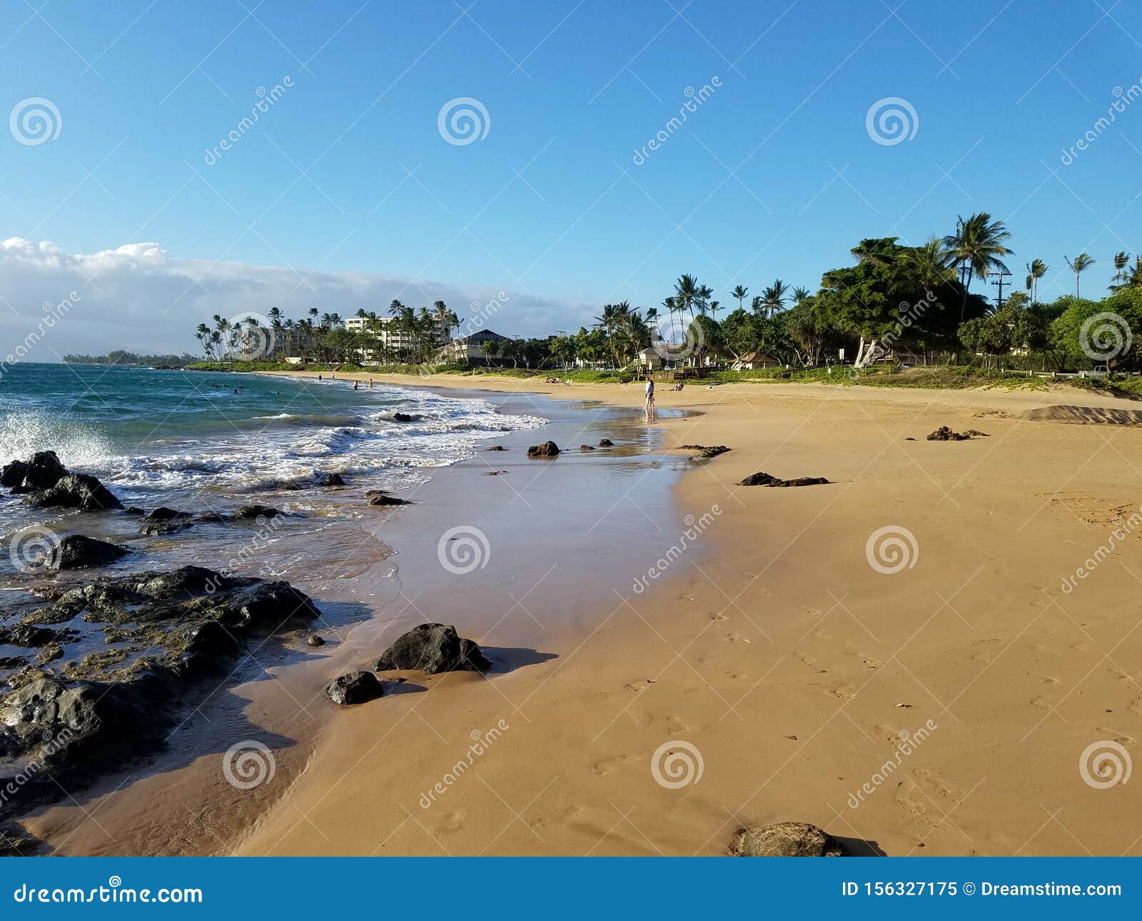 View of Hawaiian Coastline and Ocean Stock Image - Image of tree ...