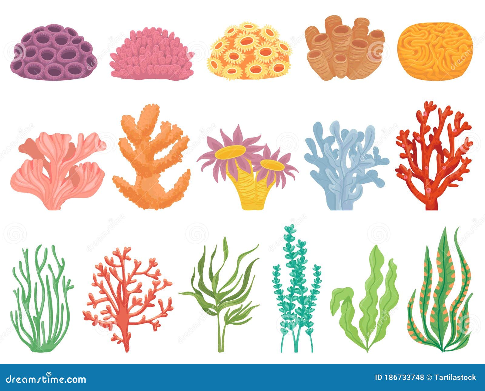 ocean coral. seaweeds and sea plant creatures, marine kelp. underwater reef flora, corals and algae  cartoon