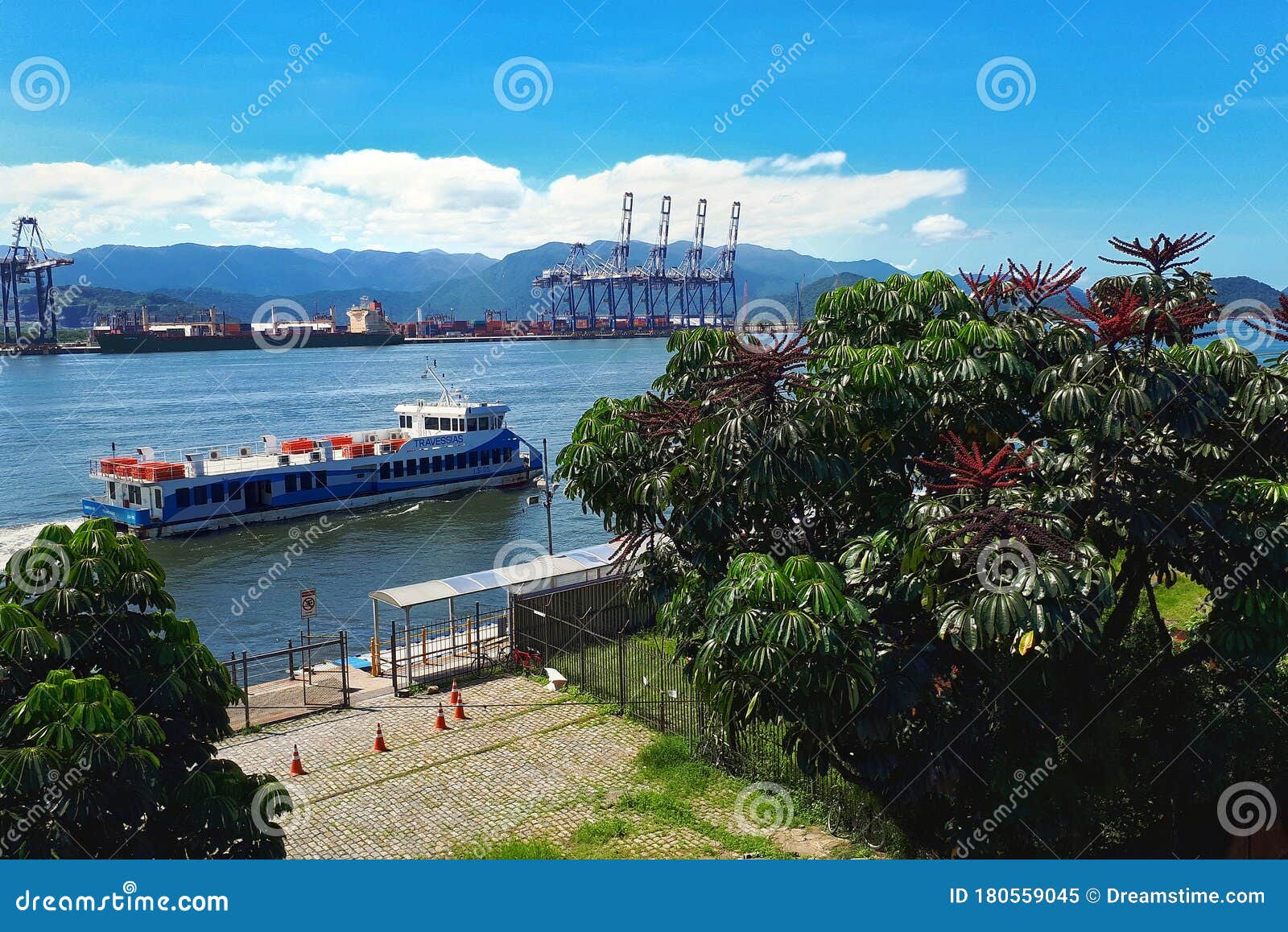 the ocean is cowded of ships in santos.