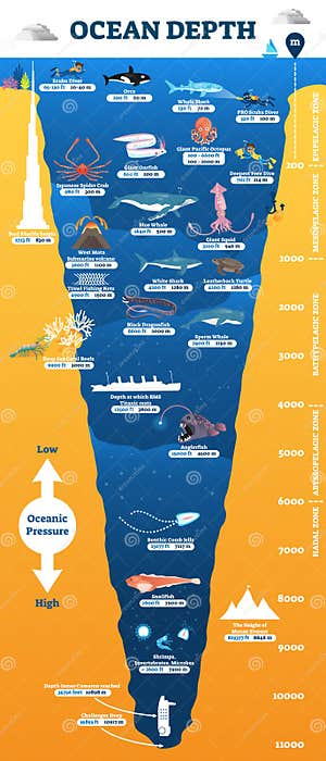 Dragonfish Clipart And Illustrations