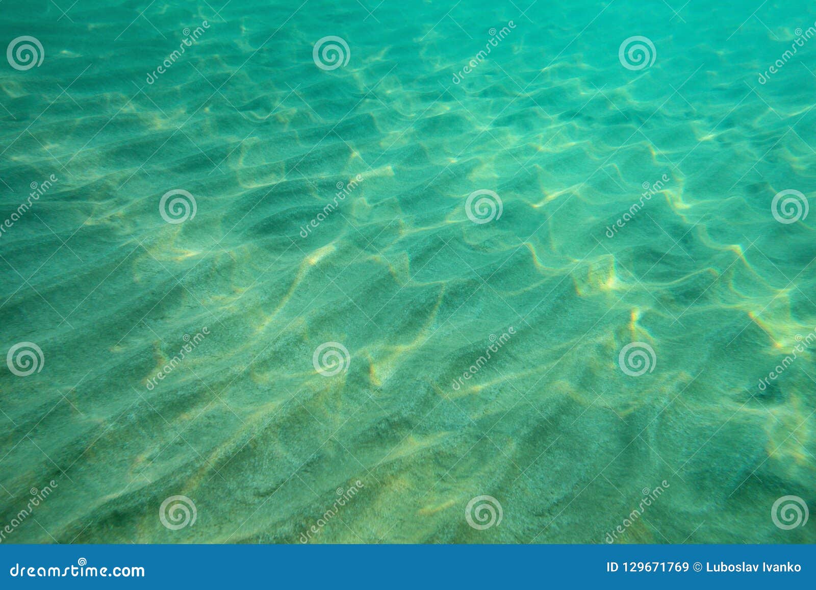 Ocean Floor Underwater Photo Sand Stock Image Image Of Seascape