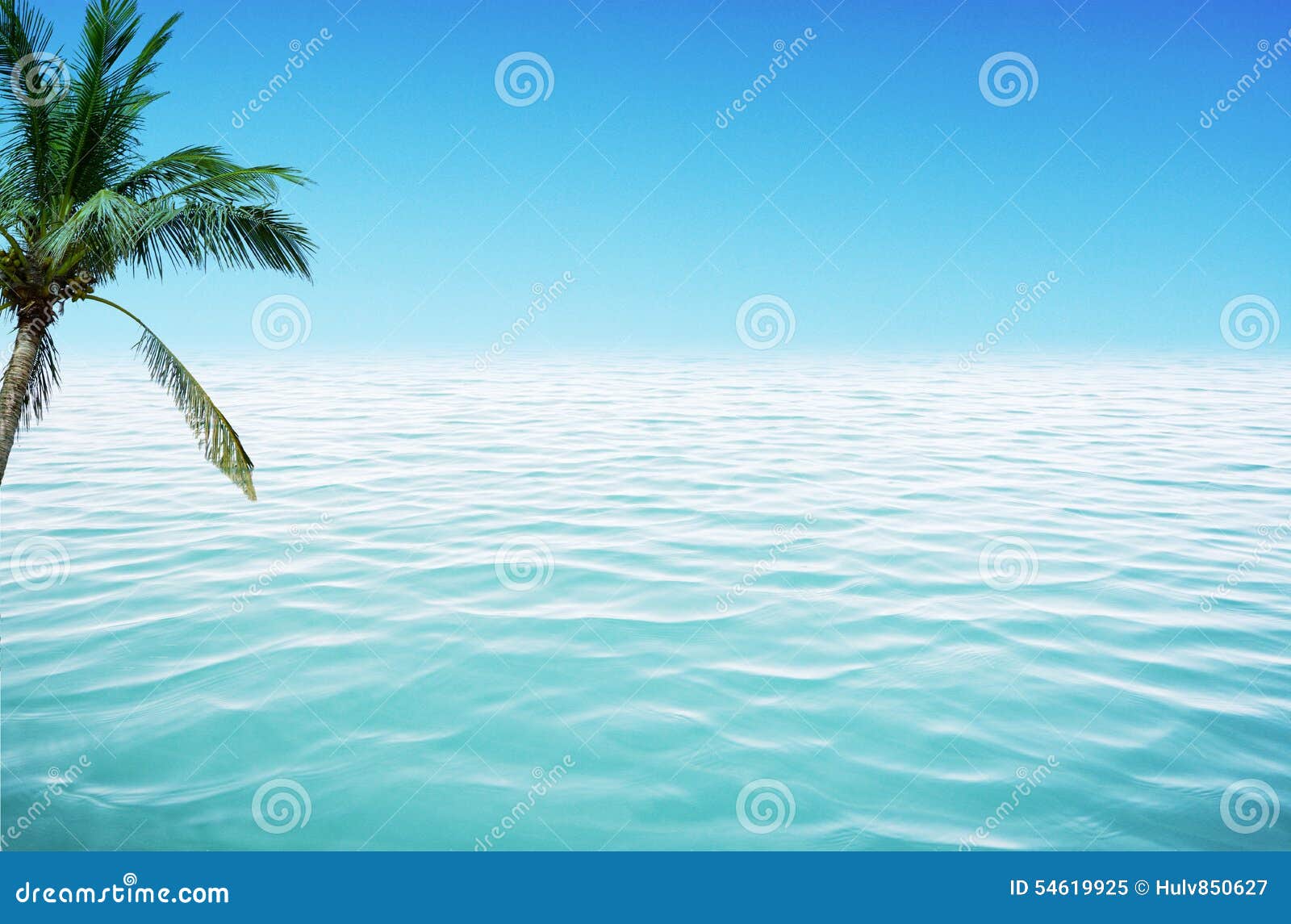 Ocean i koks. Kokosowy drzewko palmowe na piaskowatej plaży oceanem