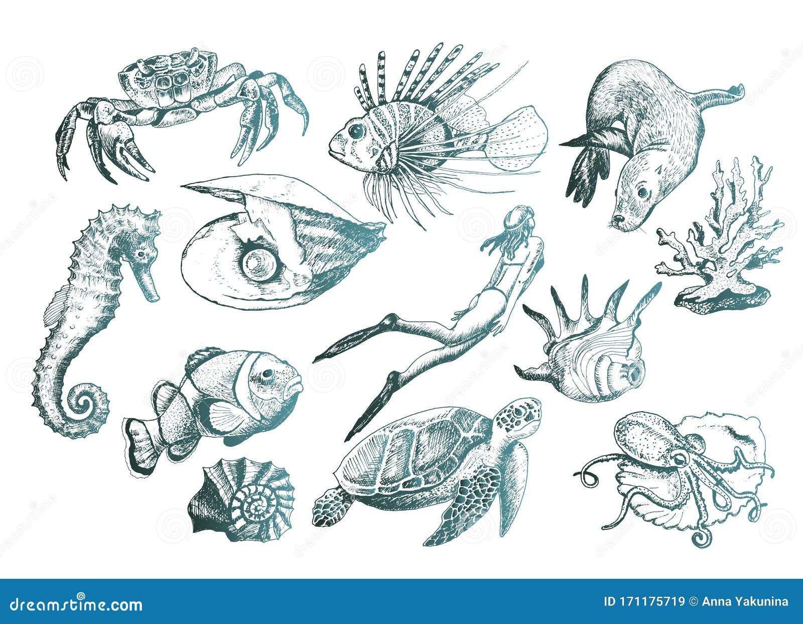 Ocean Life and Marine Creatures with Loggerhead Turtle and Shell Vector ...