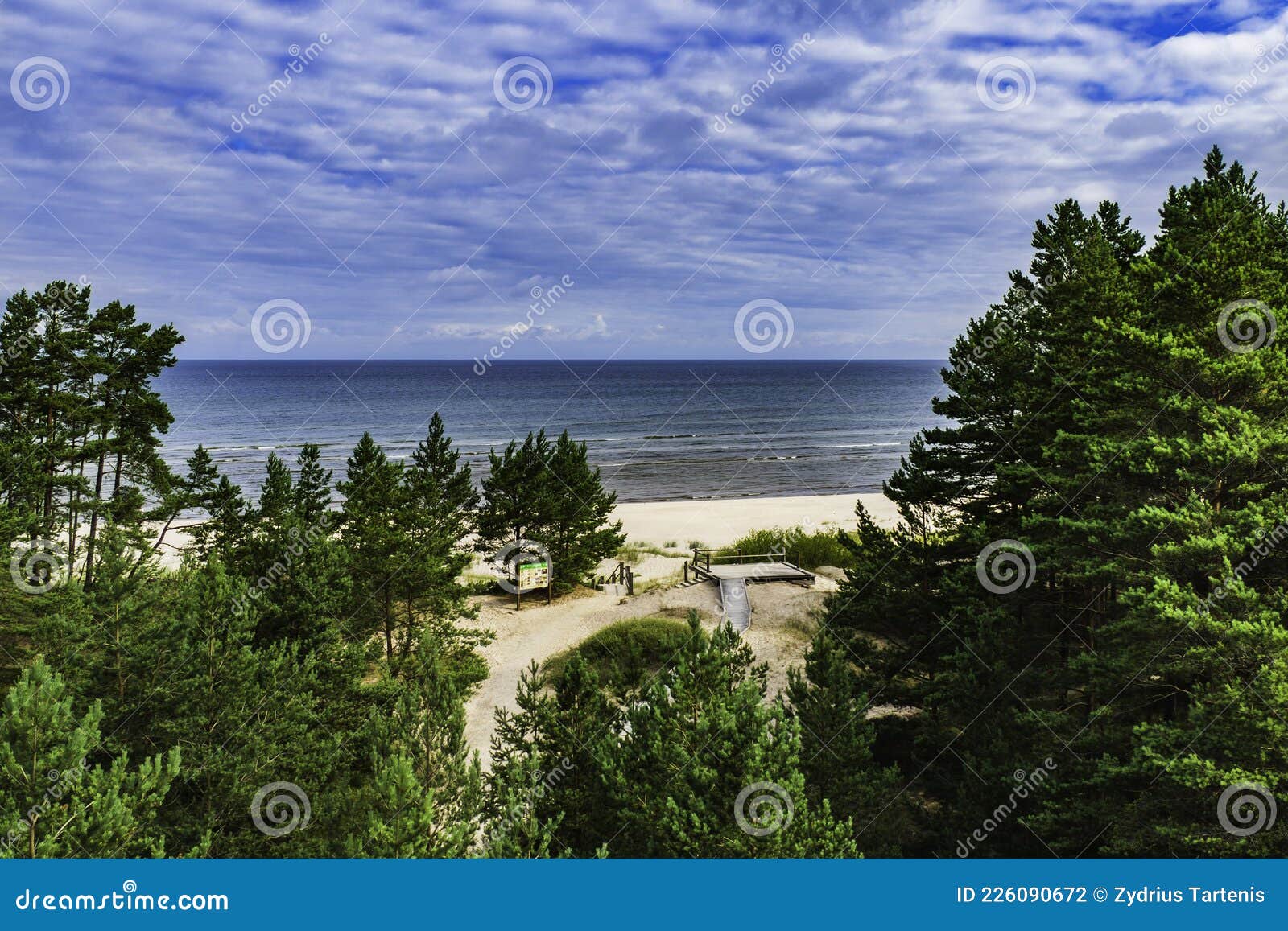 Ocean Sandy Beach And Coniferous Forest Landscape Stock Photo Image