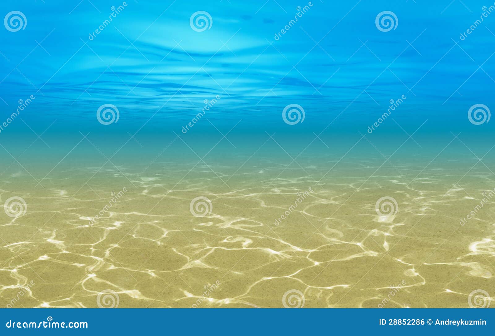ocean shallow underwater background