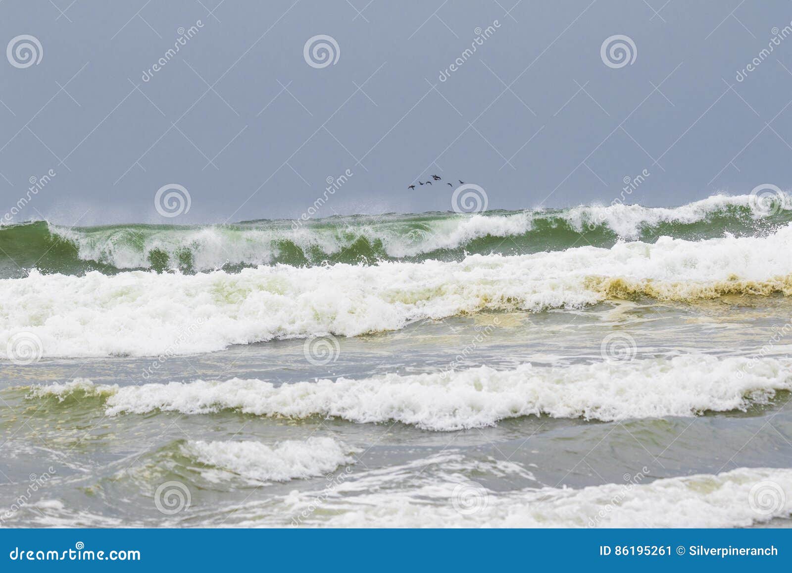 ocean shores waves