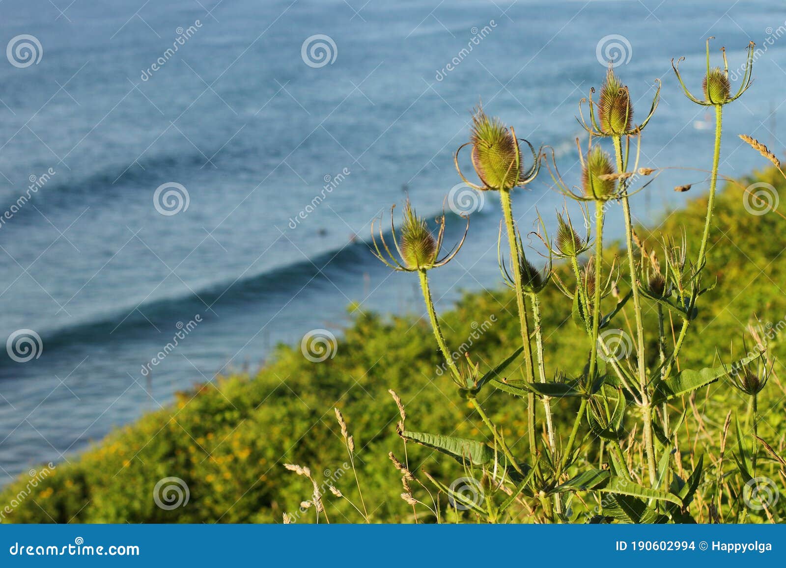 Ocean View from Shore Bay of Biscay. Stock Photo Image of europa