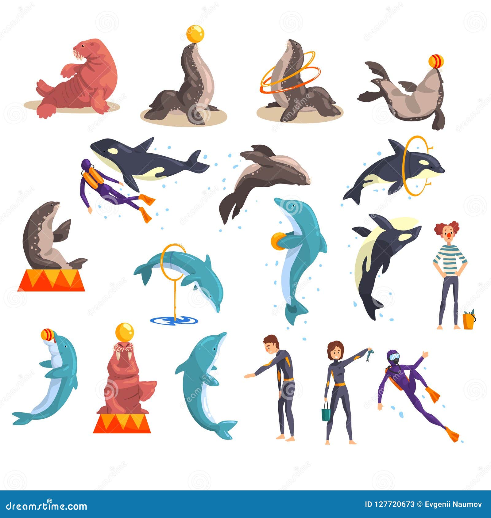 oceanarium or dolphinarium set, sea animals and trainers performing in public in dolphinarium   on a