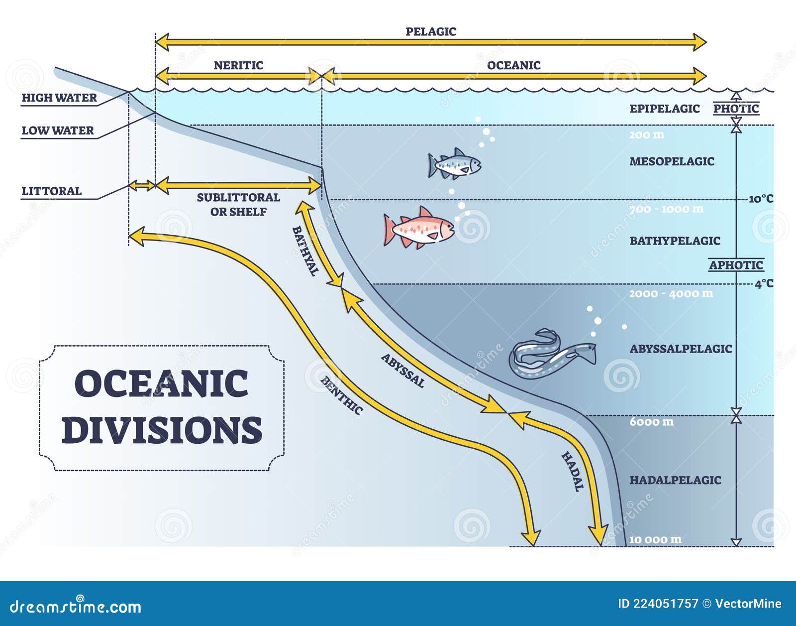 oceanic divisions and depth zones as underwater parts in outline diagram