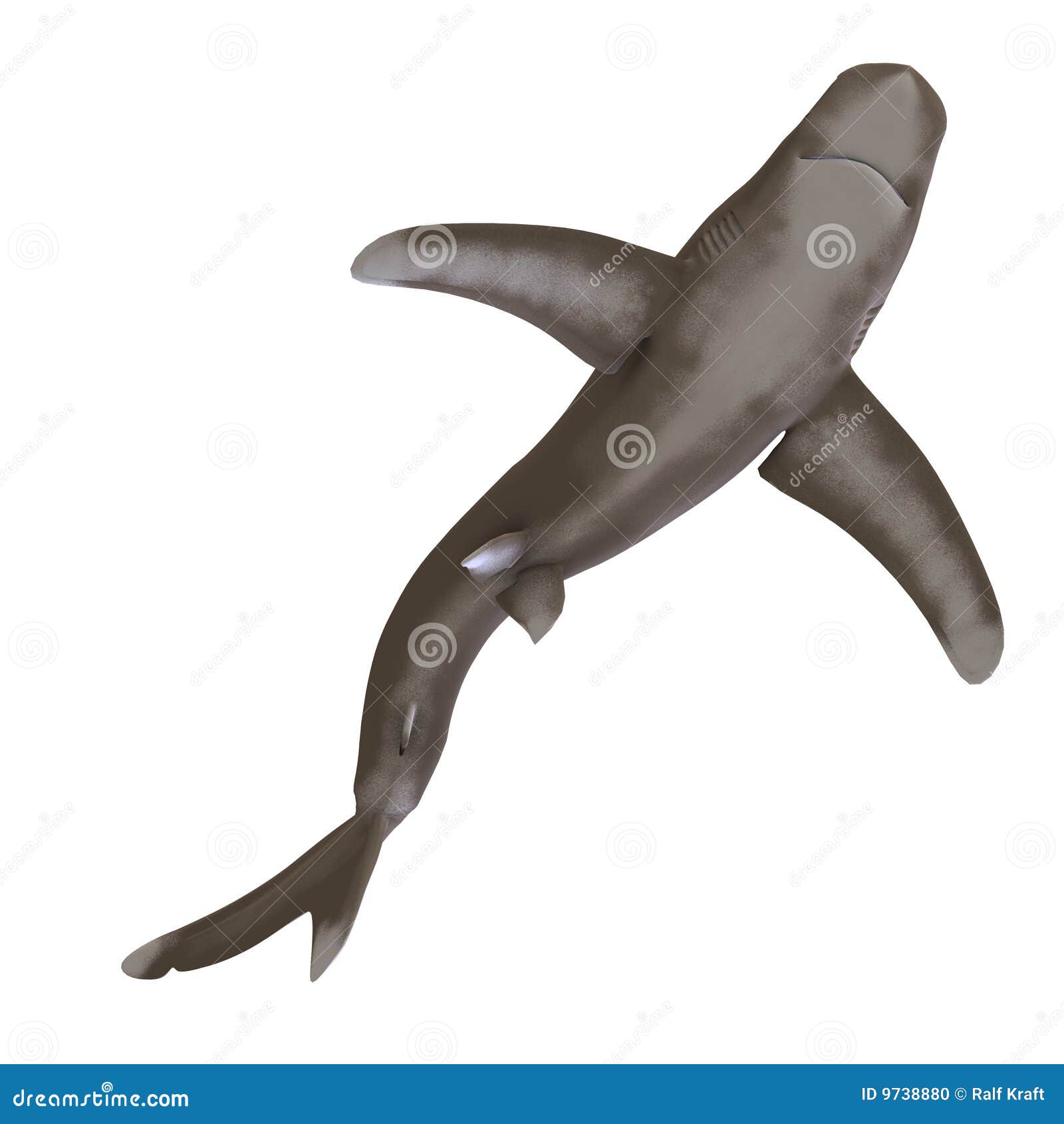 Oceanic whitetip shark stock illustration. Illustration of carcharhinus