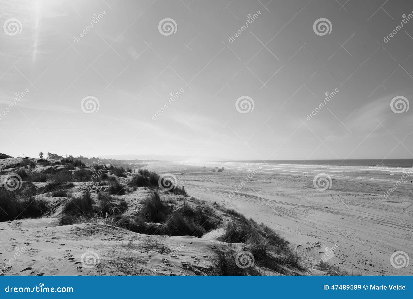 oceano dunes landscape