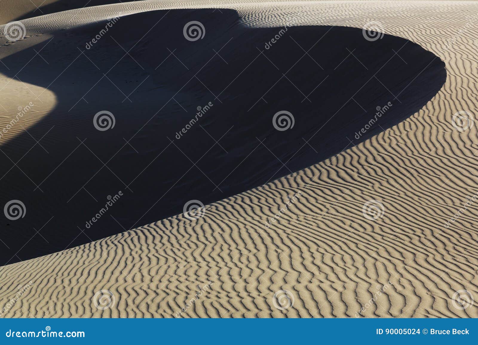 oceano dunes natural preserve, california