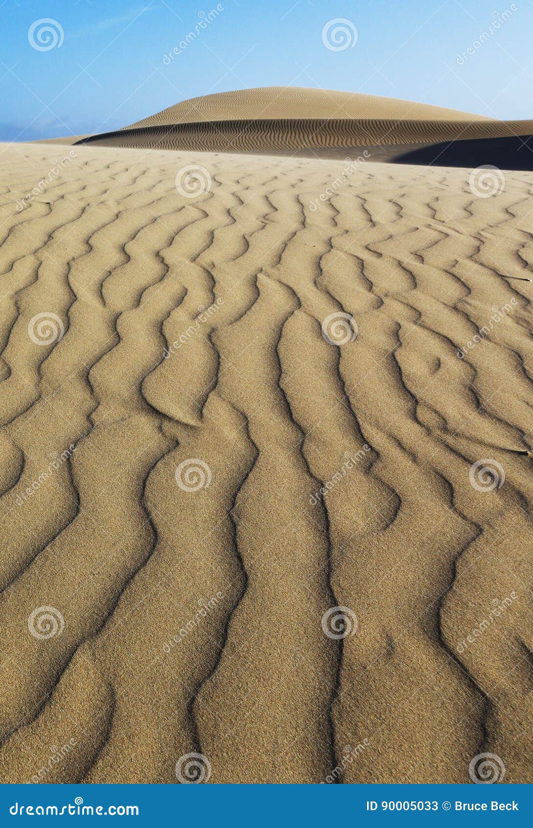 oceano dunes natural preserve, california