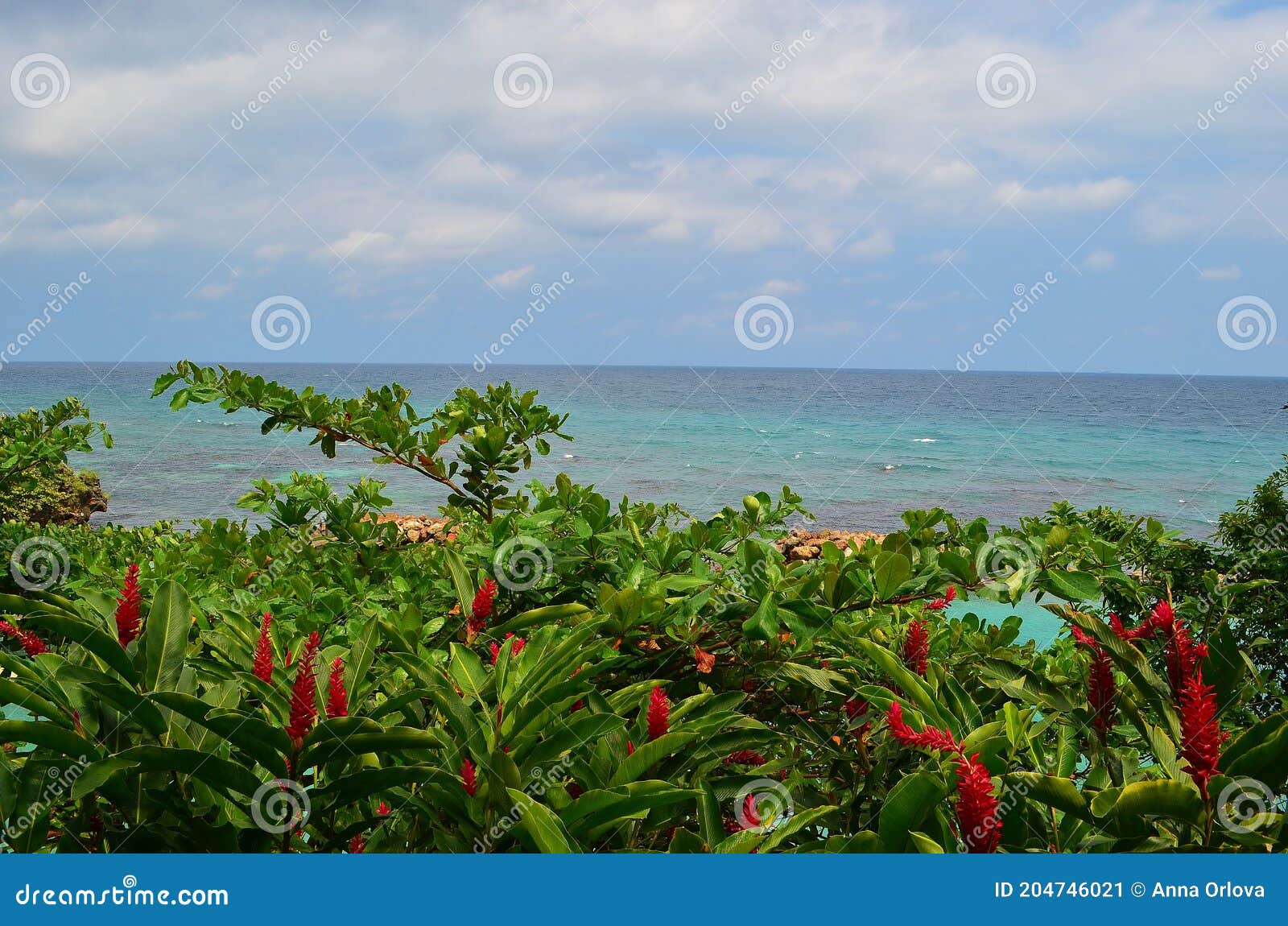 Ocho Rios在风景如画的海豚湾在牙买加库存图片 图片包括有主要 天空 放松 牙买加 Ocho Rios在风景如画的海豚湾在牙买加库存图片 图片包括有主要 天空 放松 牙买加