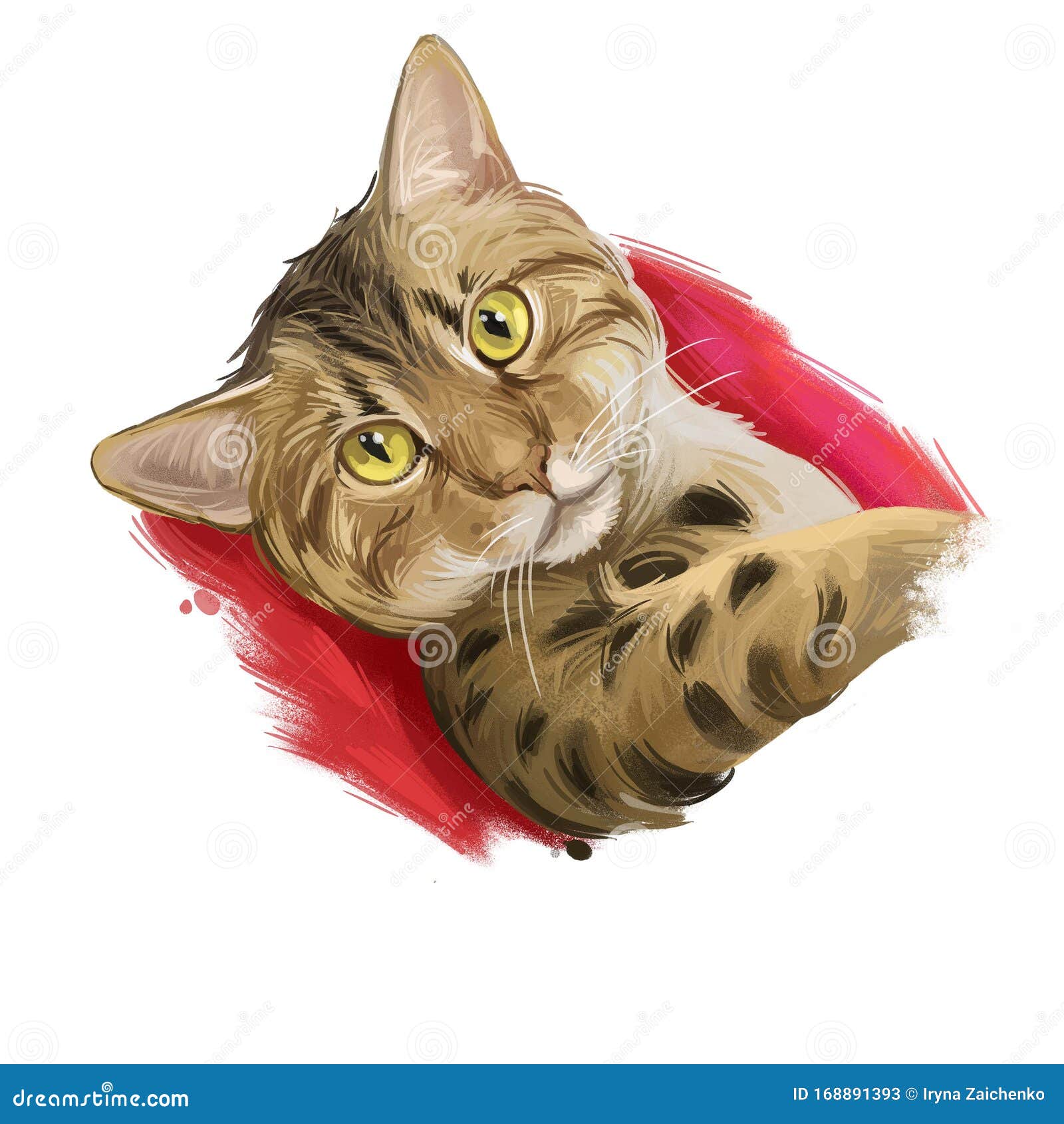 Ocicat Domestic Cat Resemble To Wild Cat Siamese And Abyssinian American Shorthair Digital Art Illustration Of Hand Drawn Kitty Stock Illustration Illustration Of Fluffy Friendly