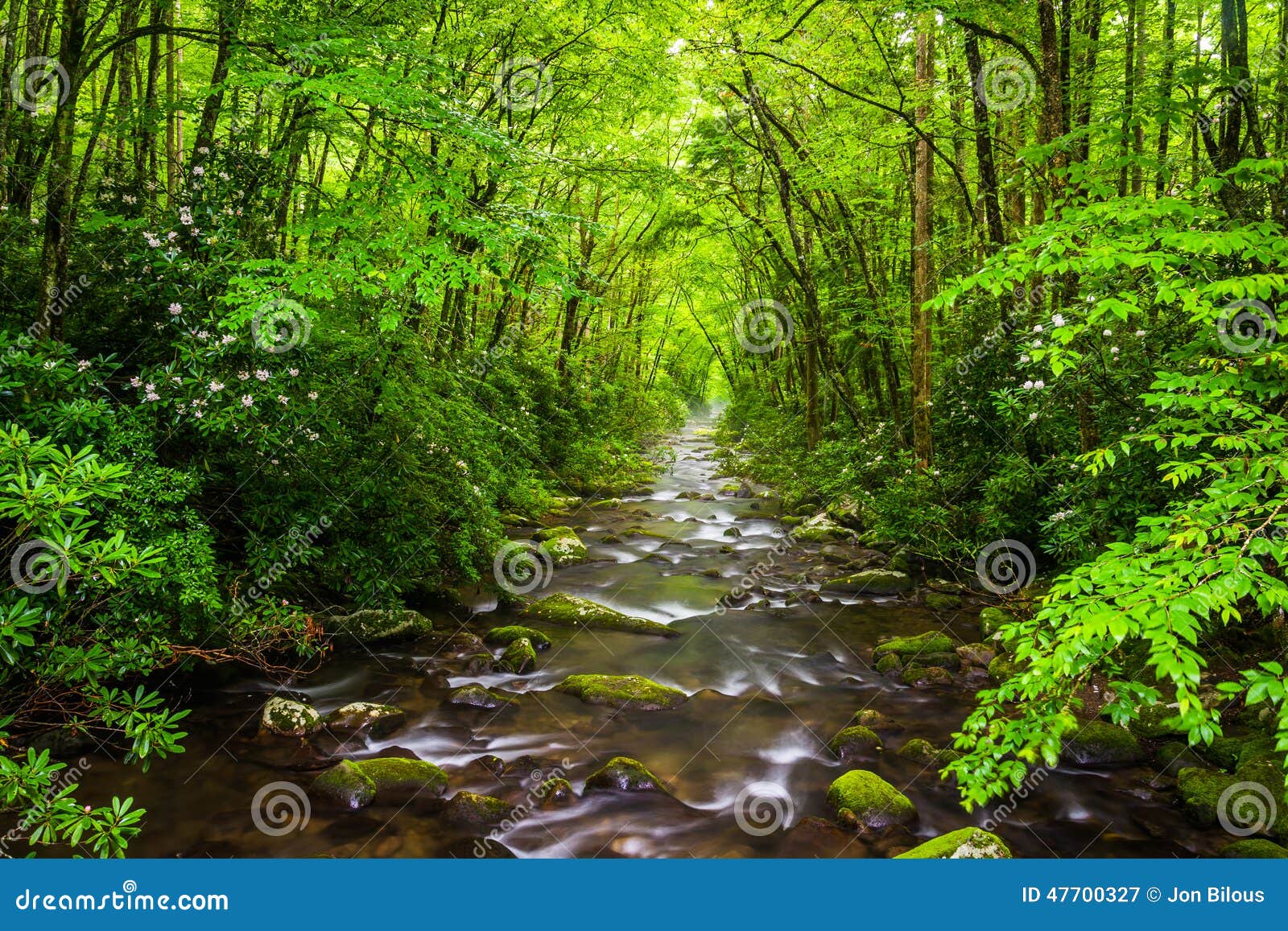 the oconaluftee river, at great smoky mountains national park, n