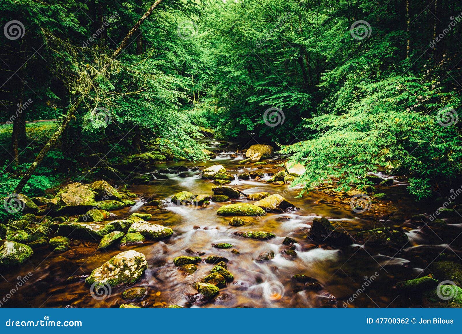 the oconaluftee river, at great smoky mountains national park, n