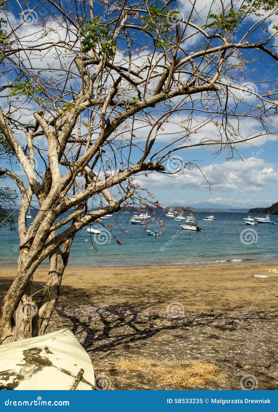 ocotal beach in guanacaste - costa rica