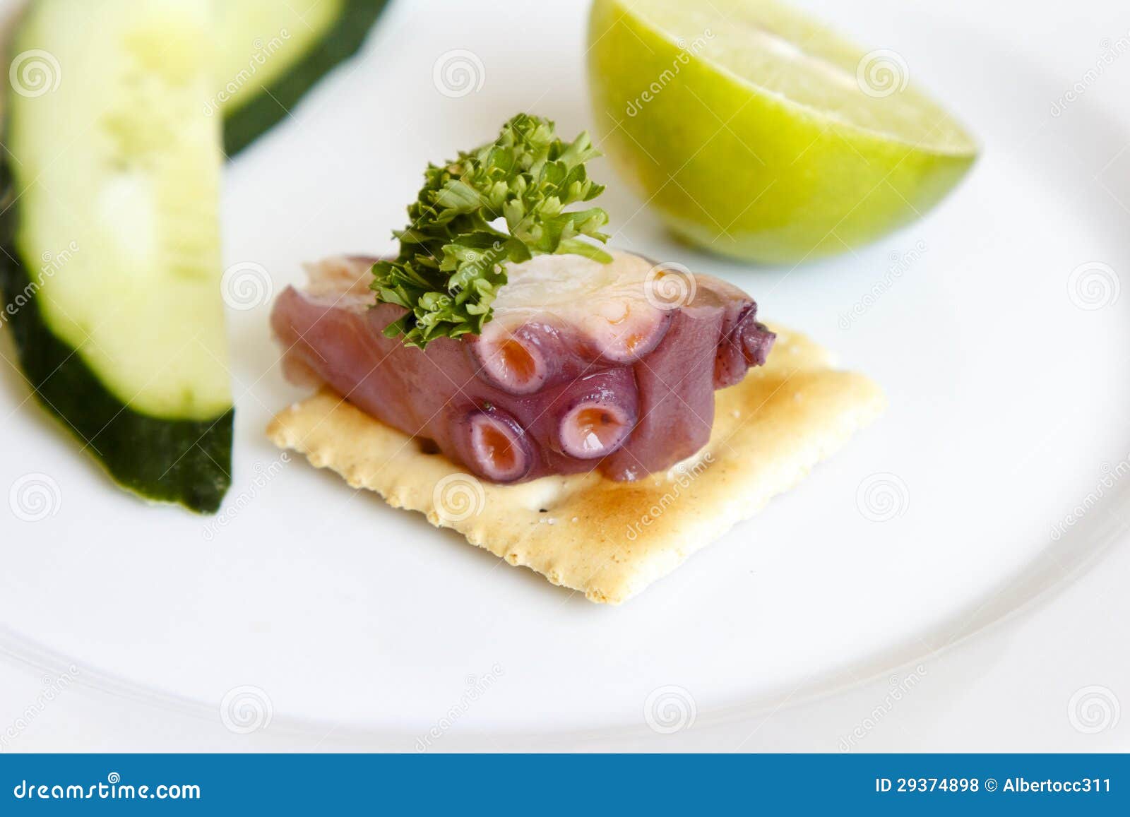 Octopus appetizer stock photo. Image of carbohydrates 29374898