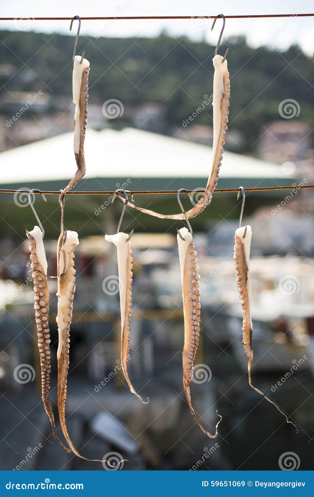 Octopus and boats stock image. Image of traditional, nature 59651069