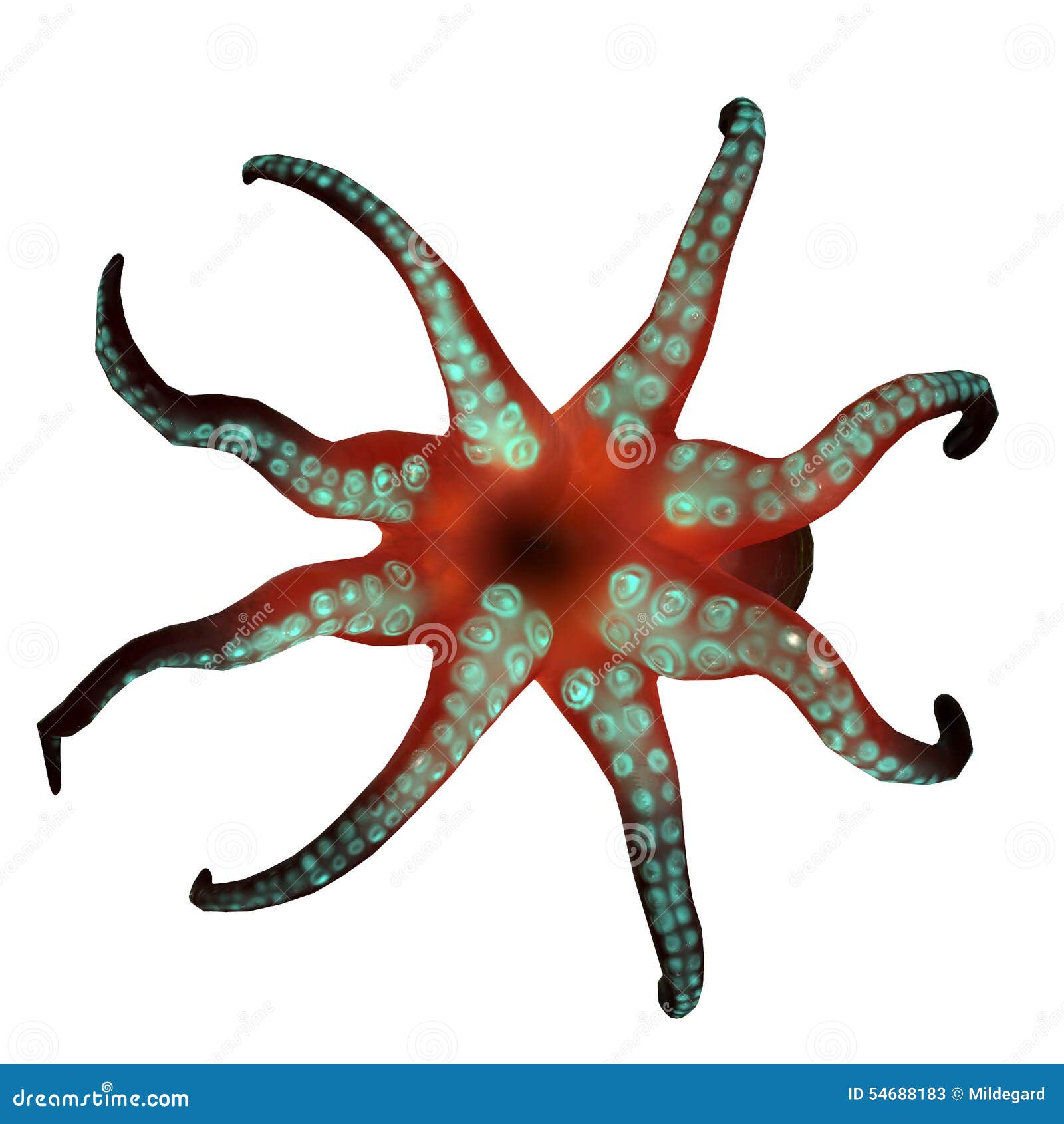 My Image 7