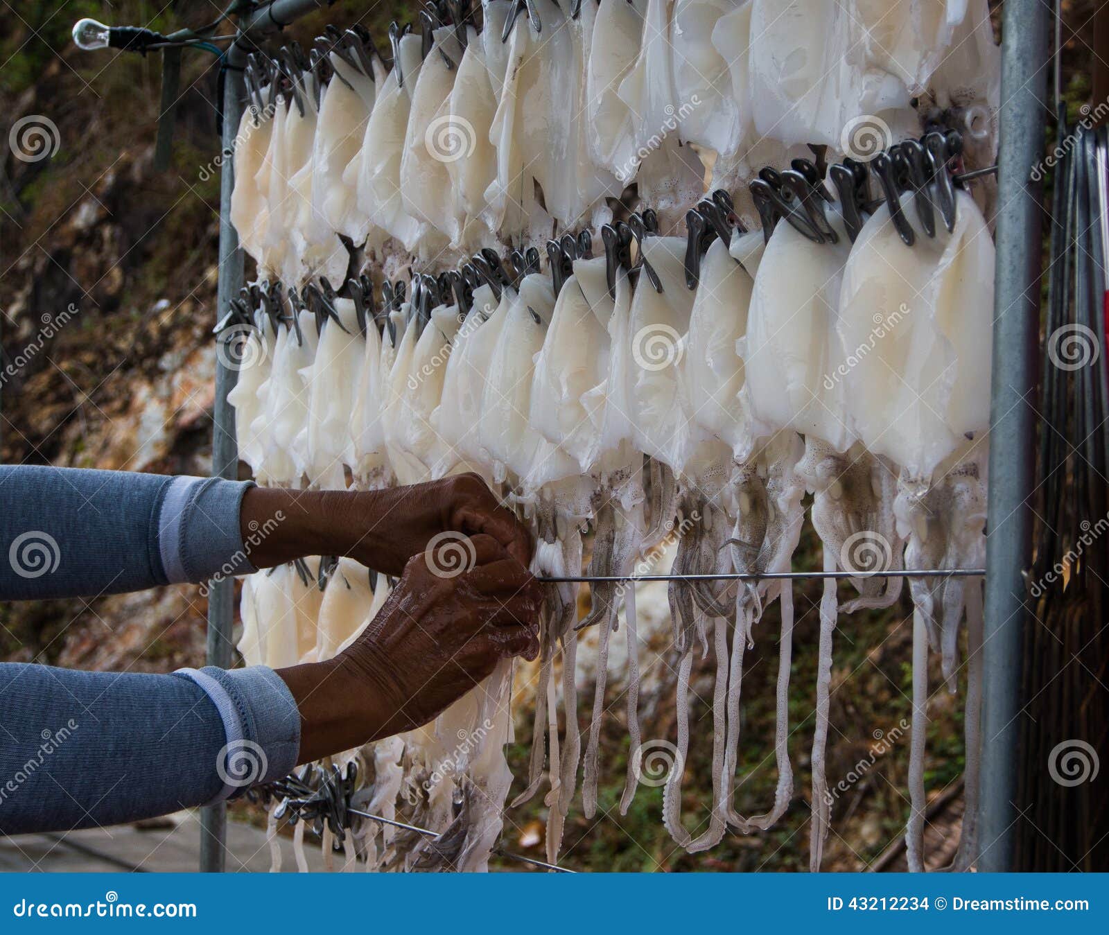 Octopus shop stock photo. Image of roadside, offering 43212234